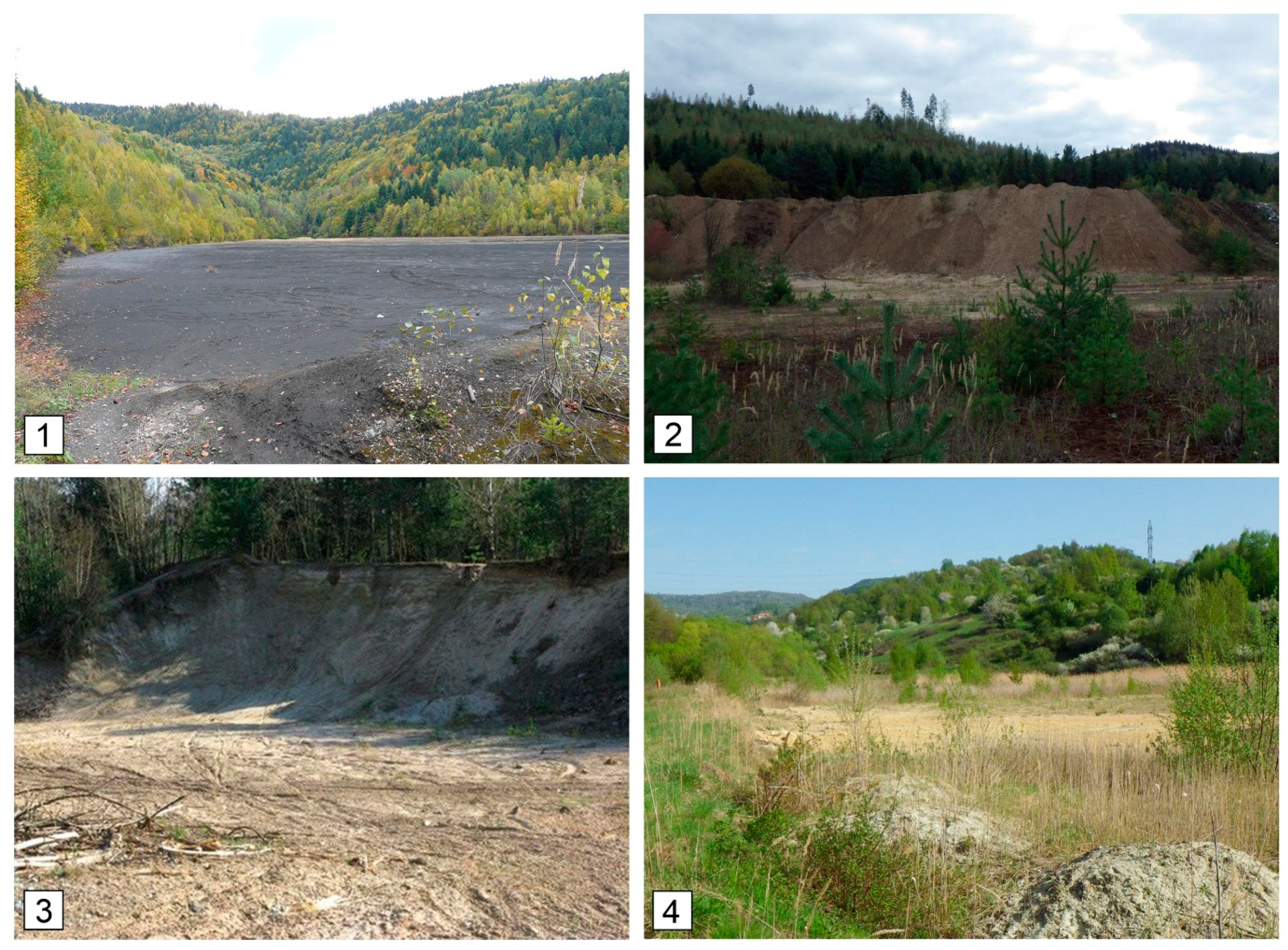 Ijerph 18 03240 g002