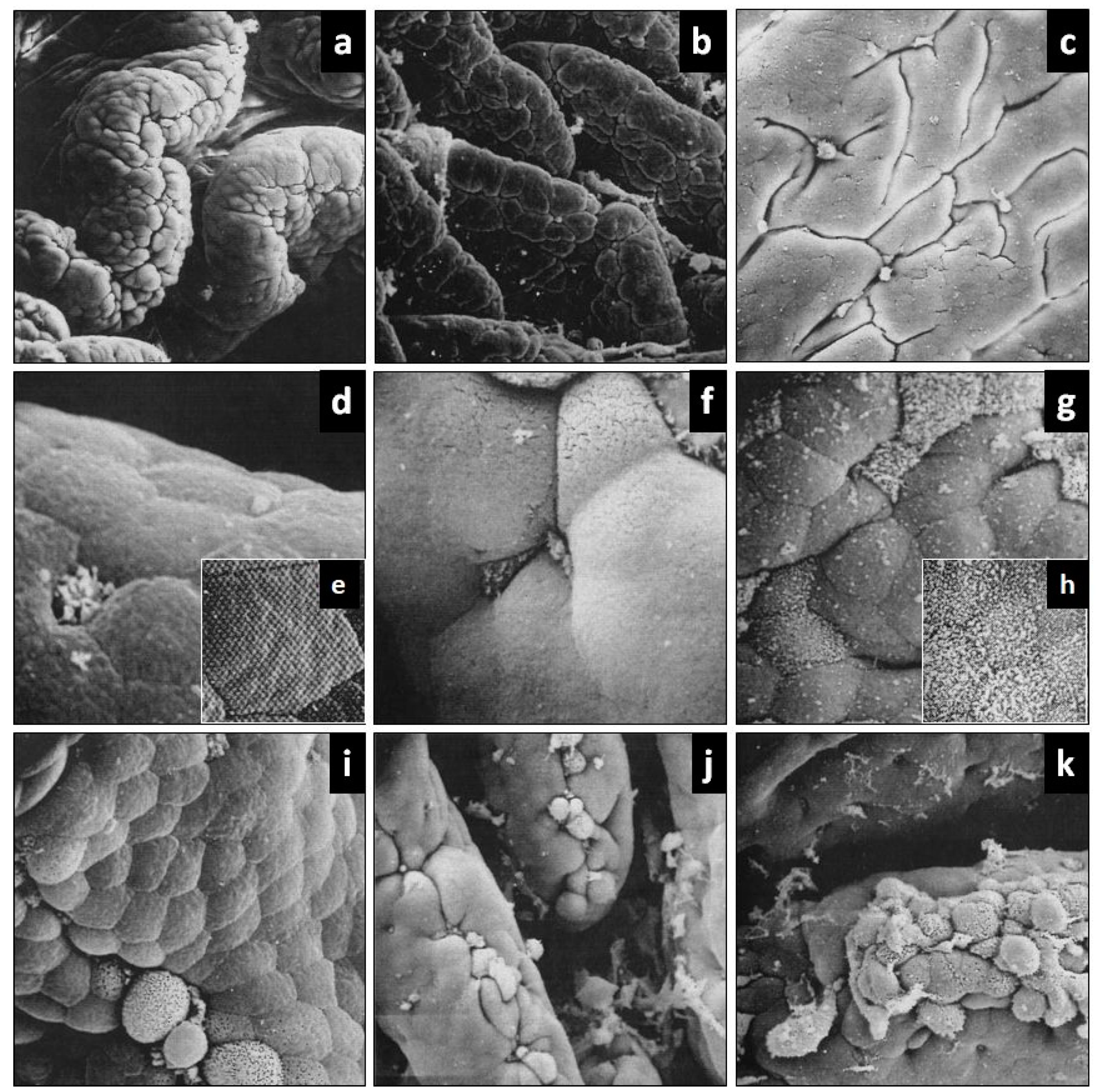 Ijerph 18 03261 g002