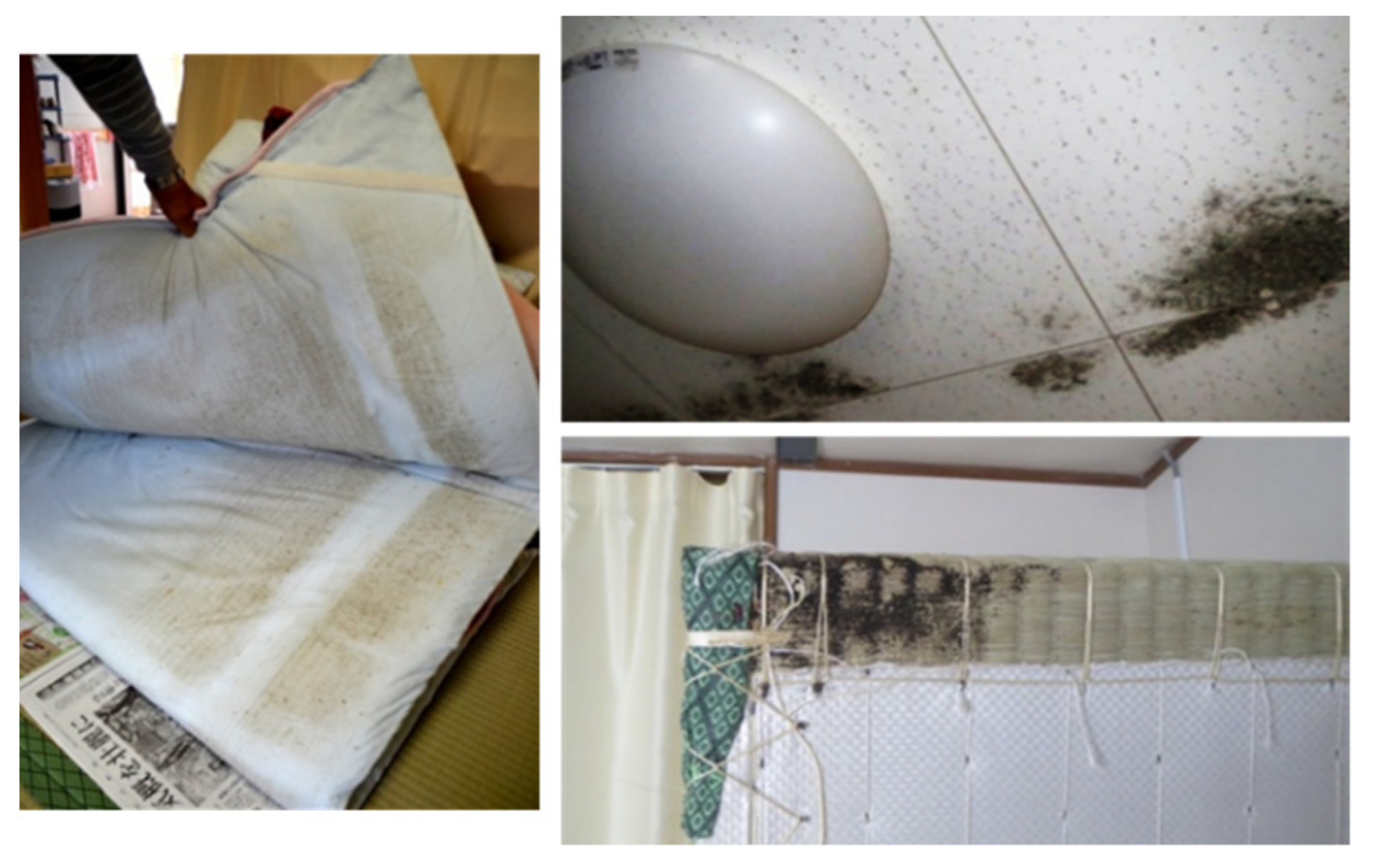 Ijerph 18 03296 g003