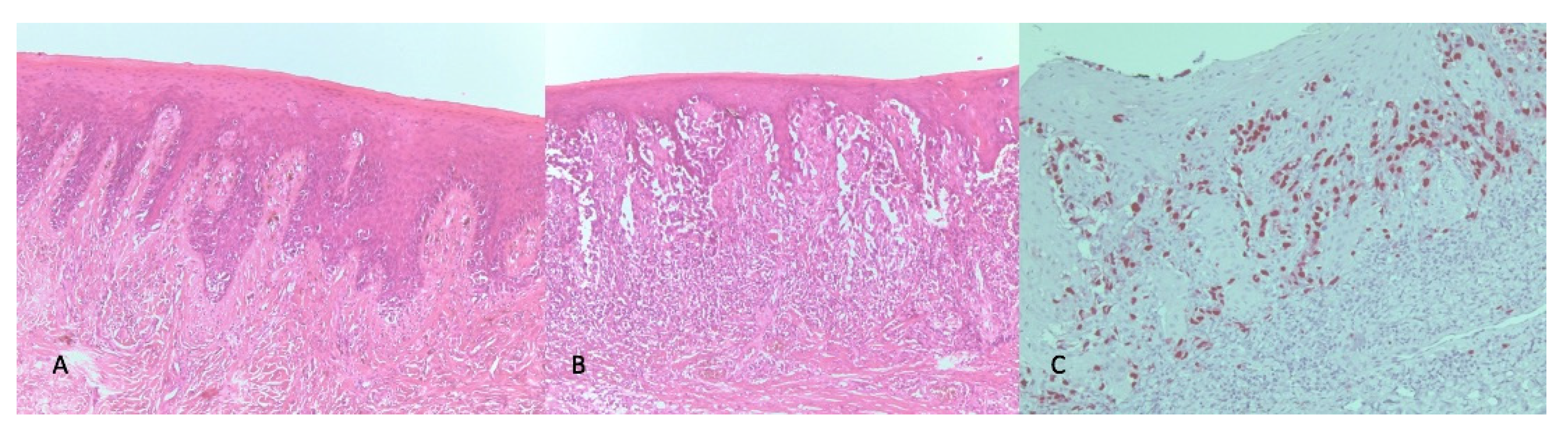 Ijerph 18 03341 g002