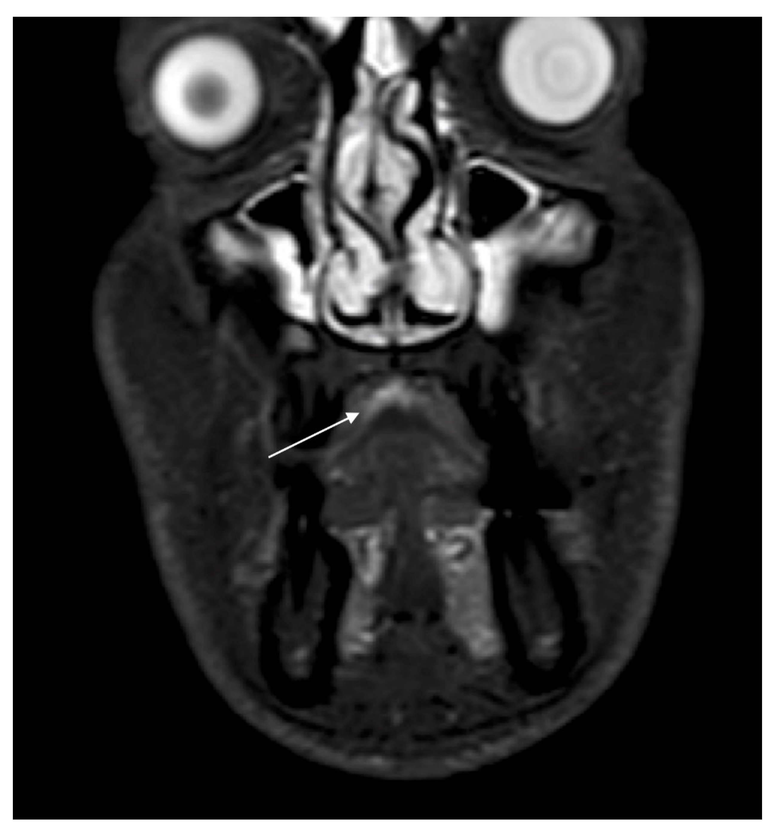 Ijerph 18 03341 g003