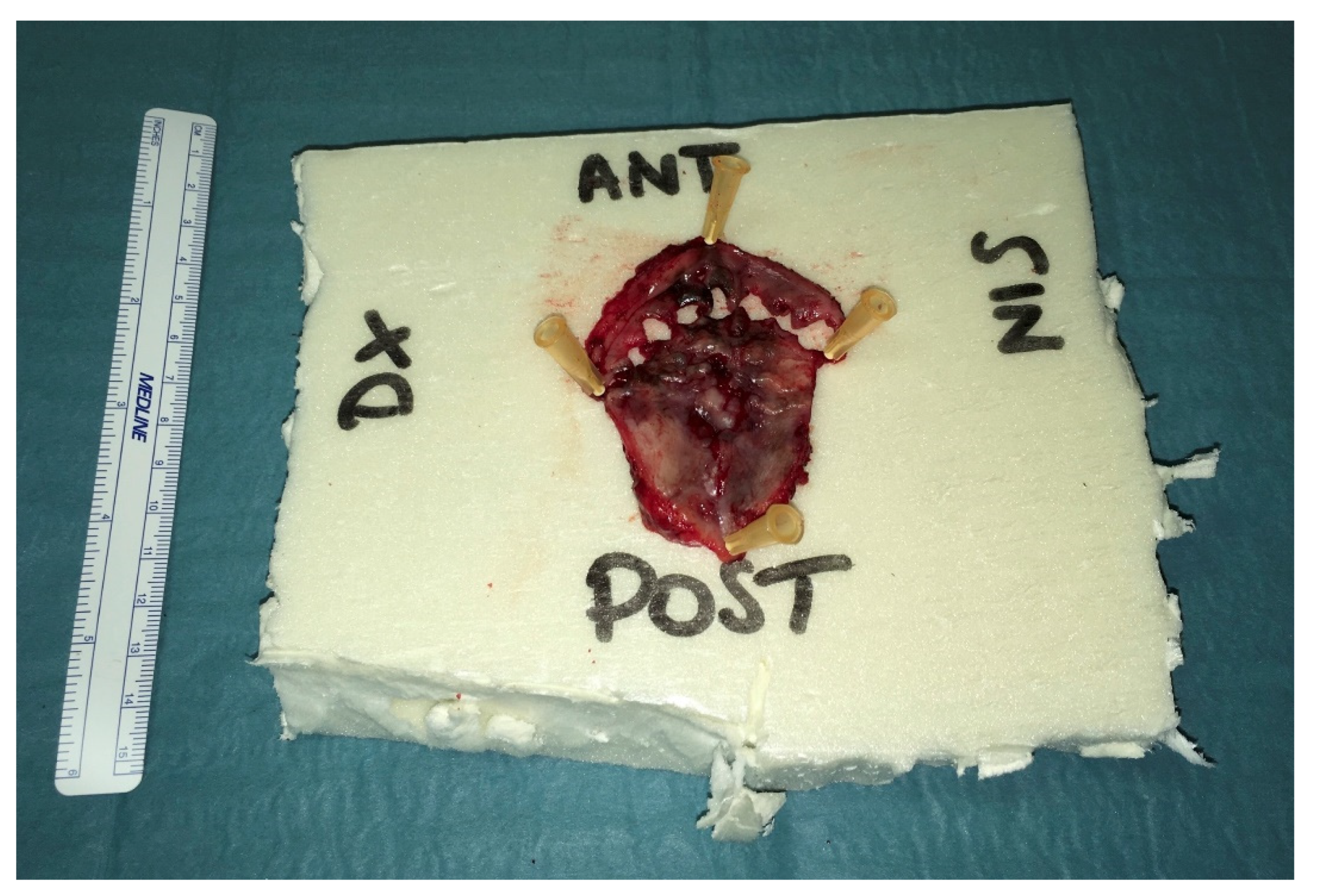 Ijerph 18 03341 g005