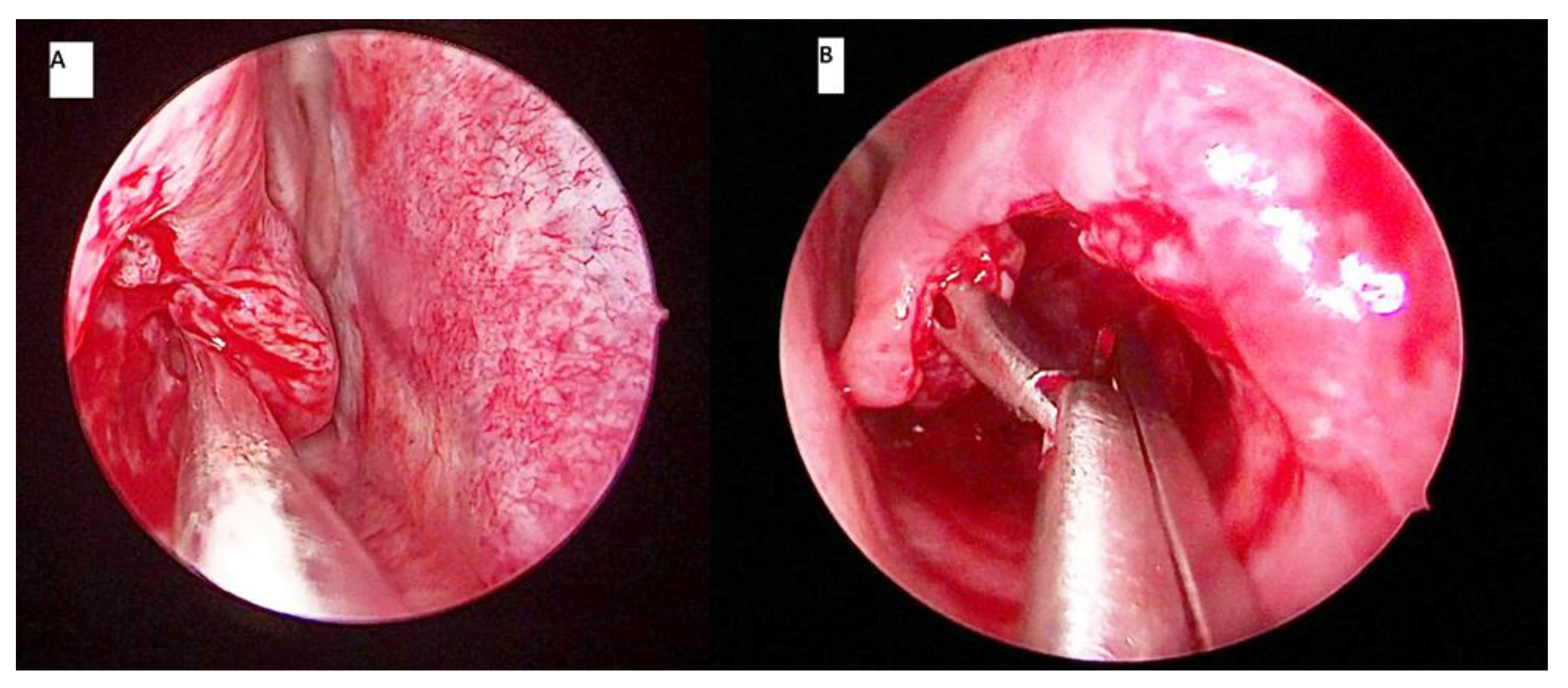 Ijerph 18 03441 g002