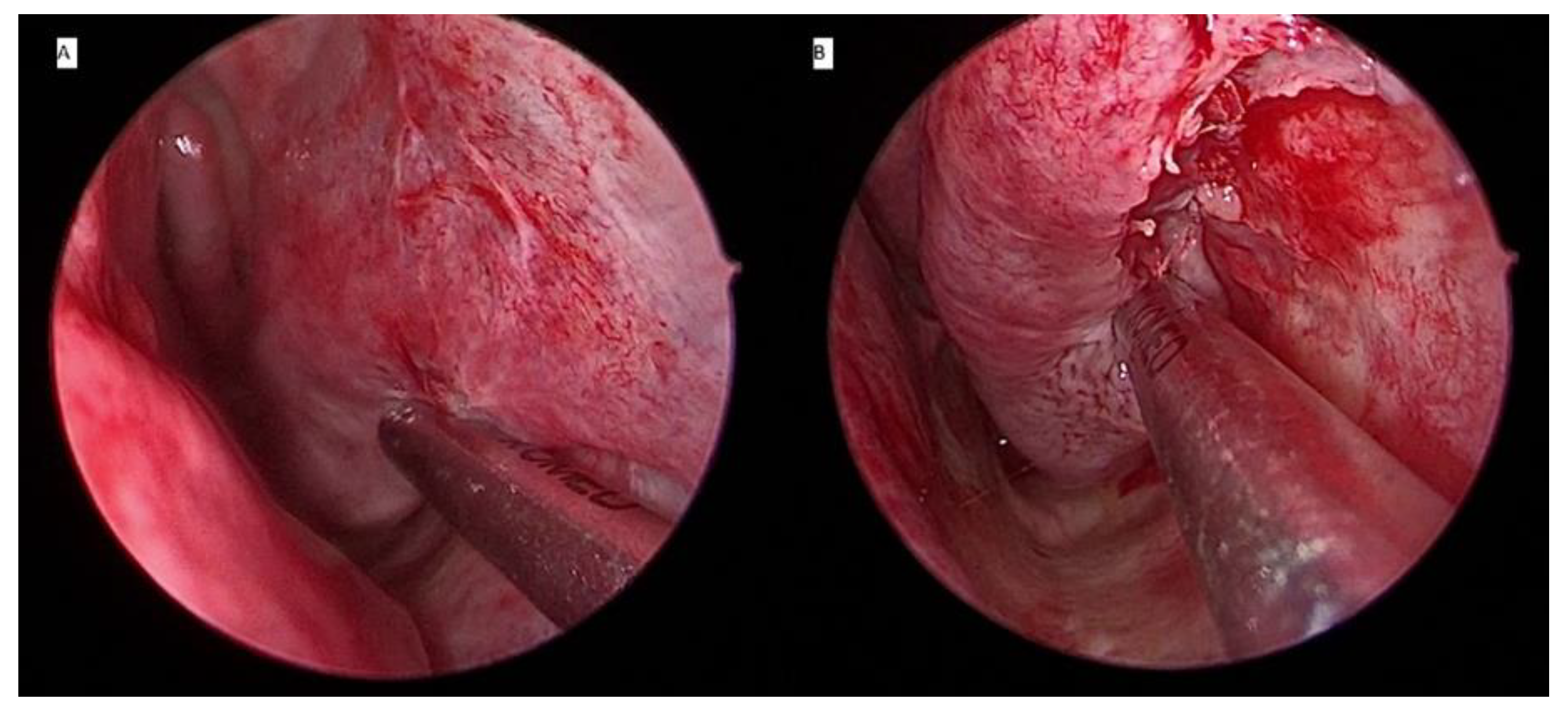 Ijerph 18 03441 g003