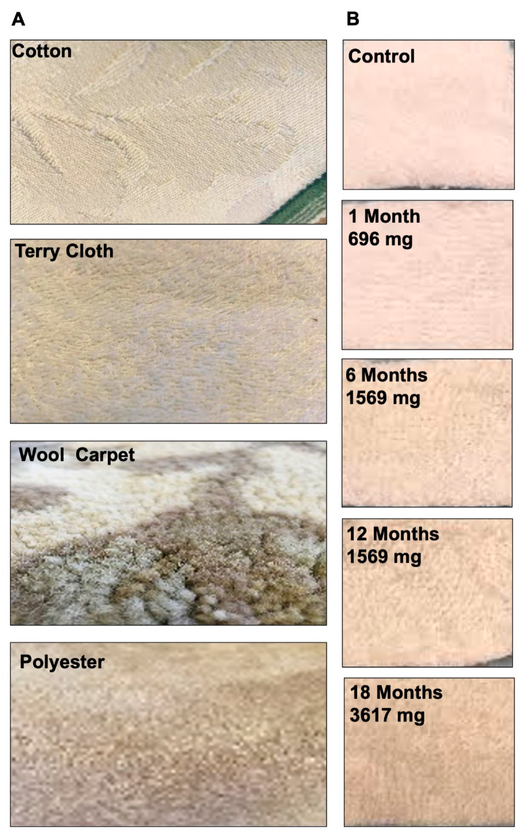 Ijerph 18 03592 g001 Ijerph 18 03592 g001