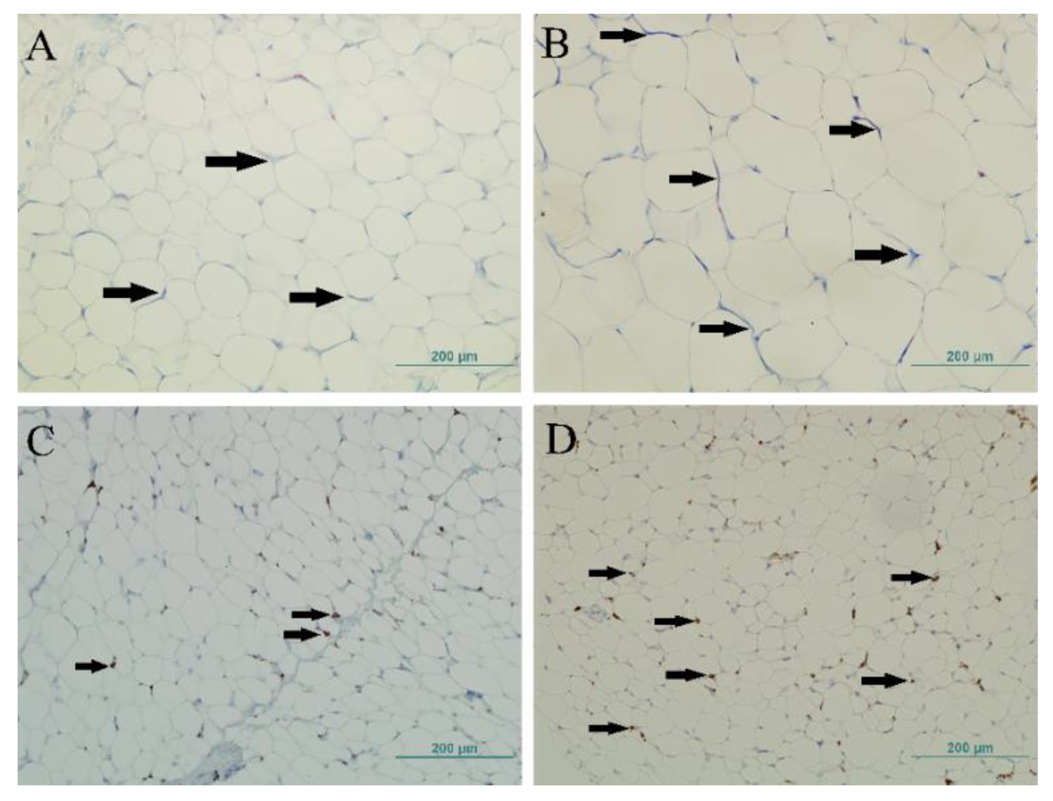 Ijerph 18 03627 g001