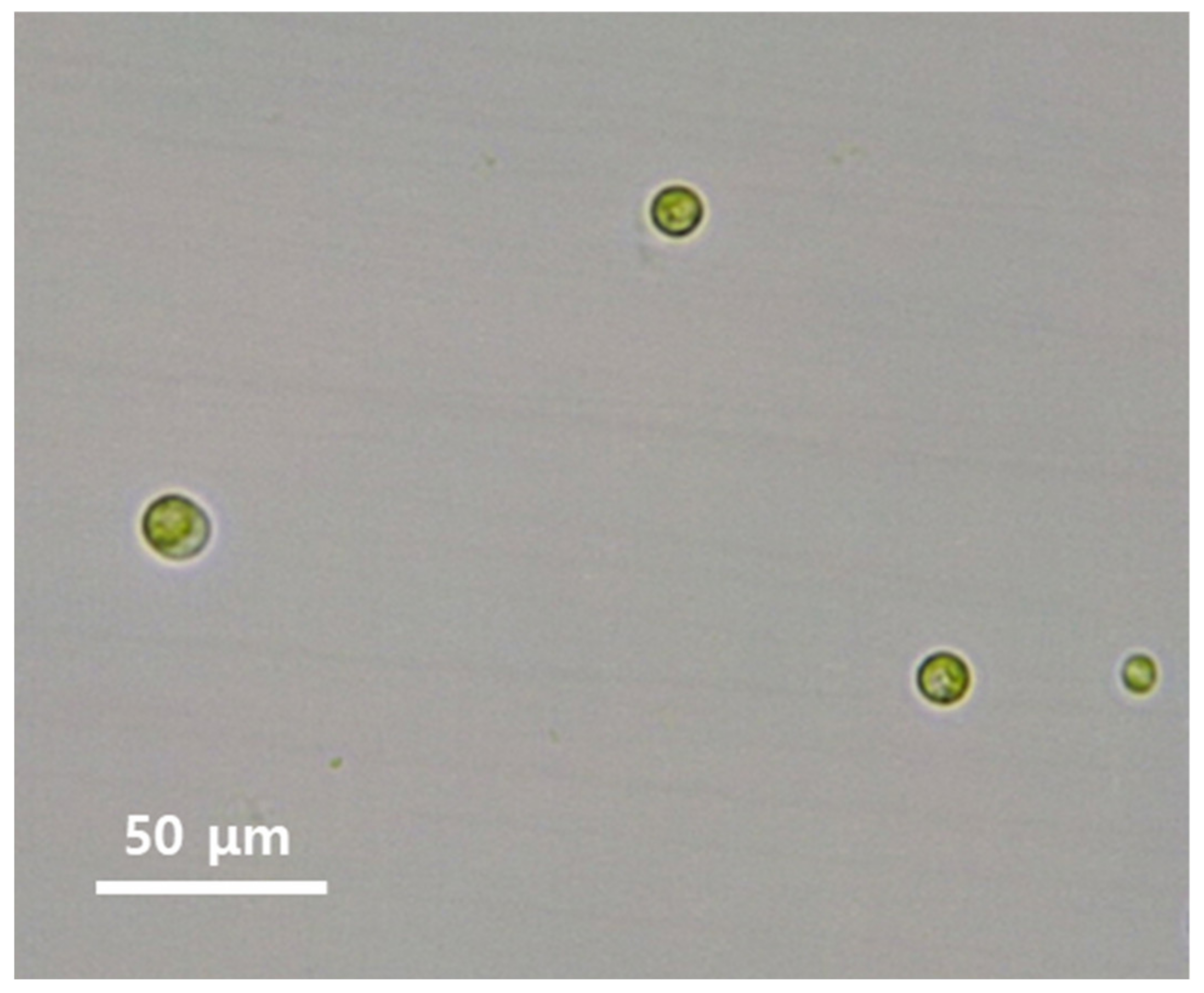 Ijerph 18 03641 g001