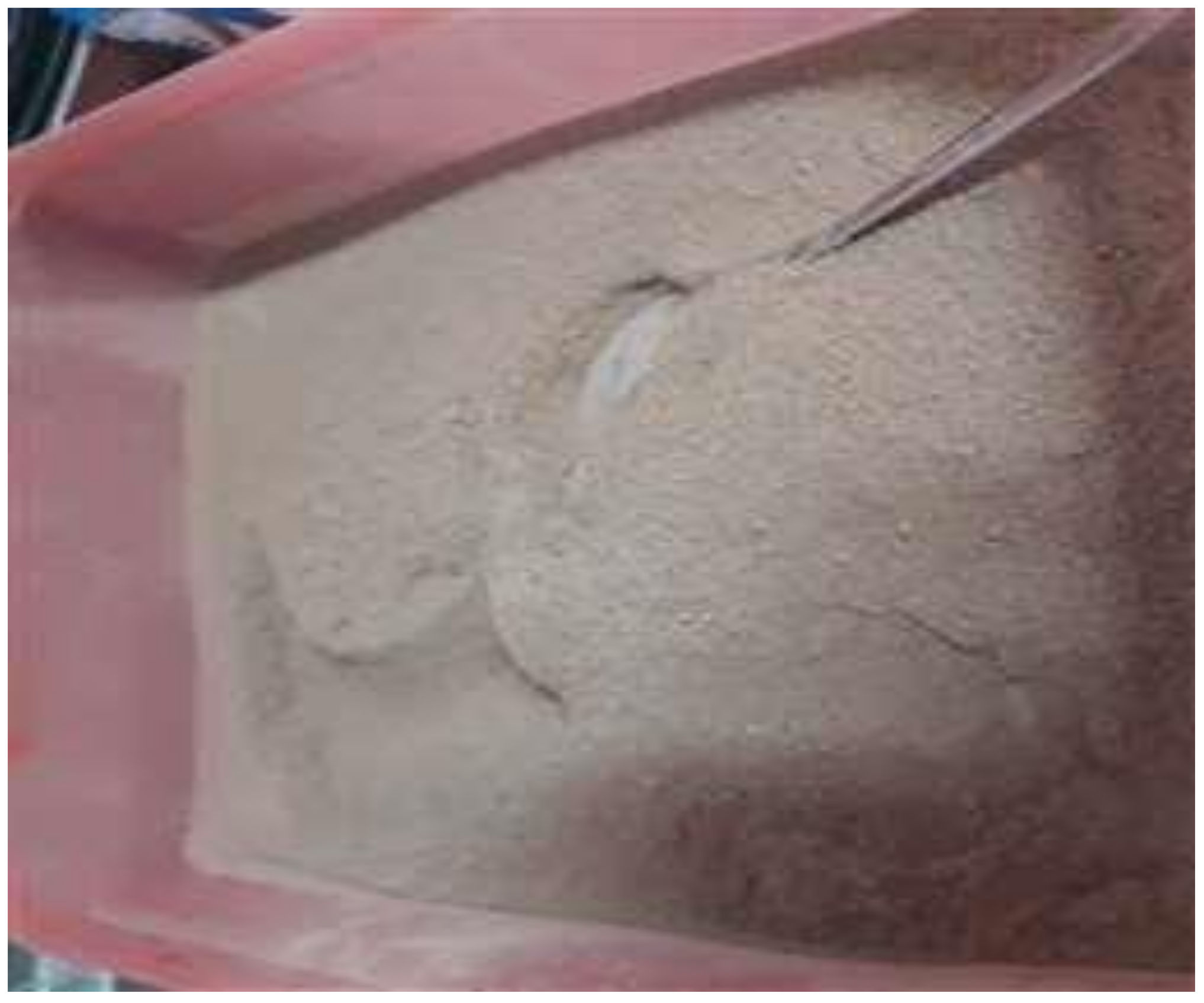 Ijerph 18 03686 g004