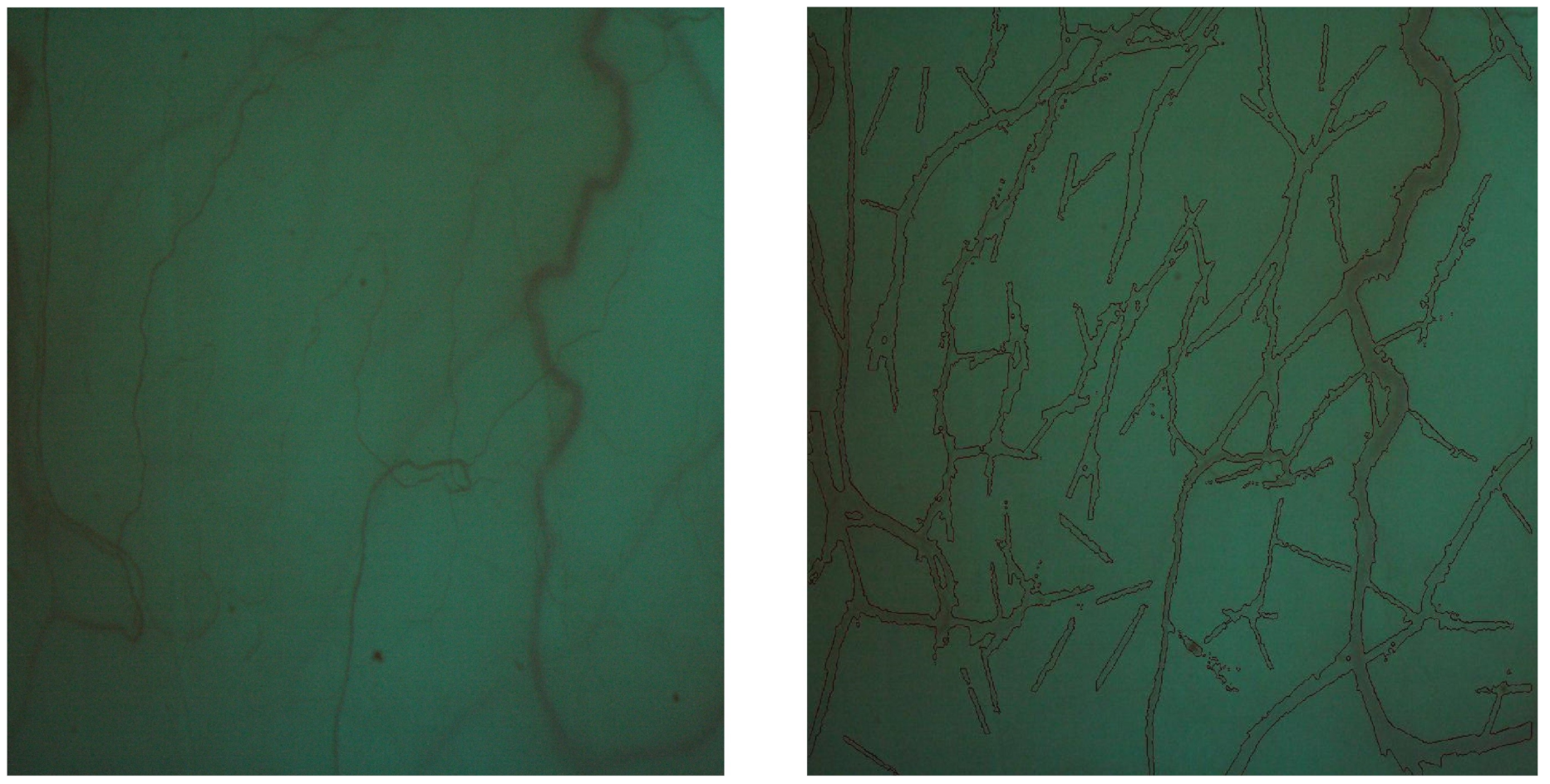 Ijerph 18 03735 g001