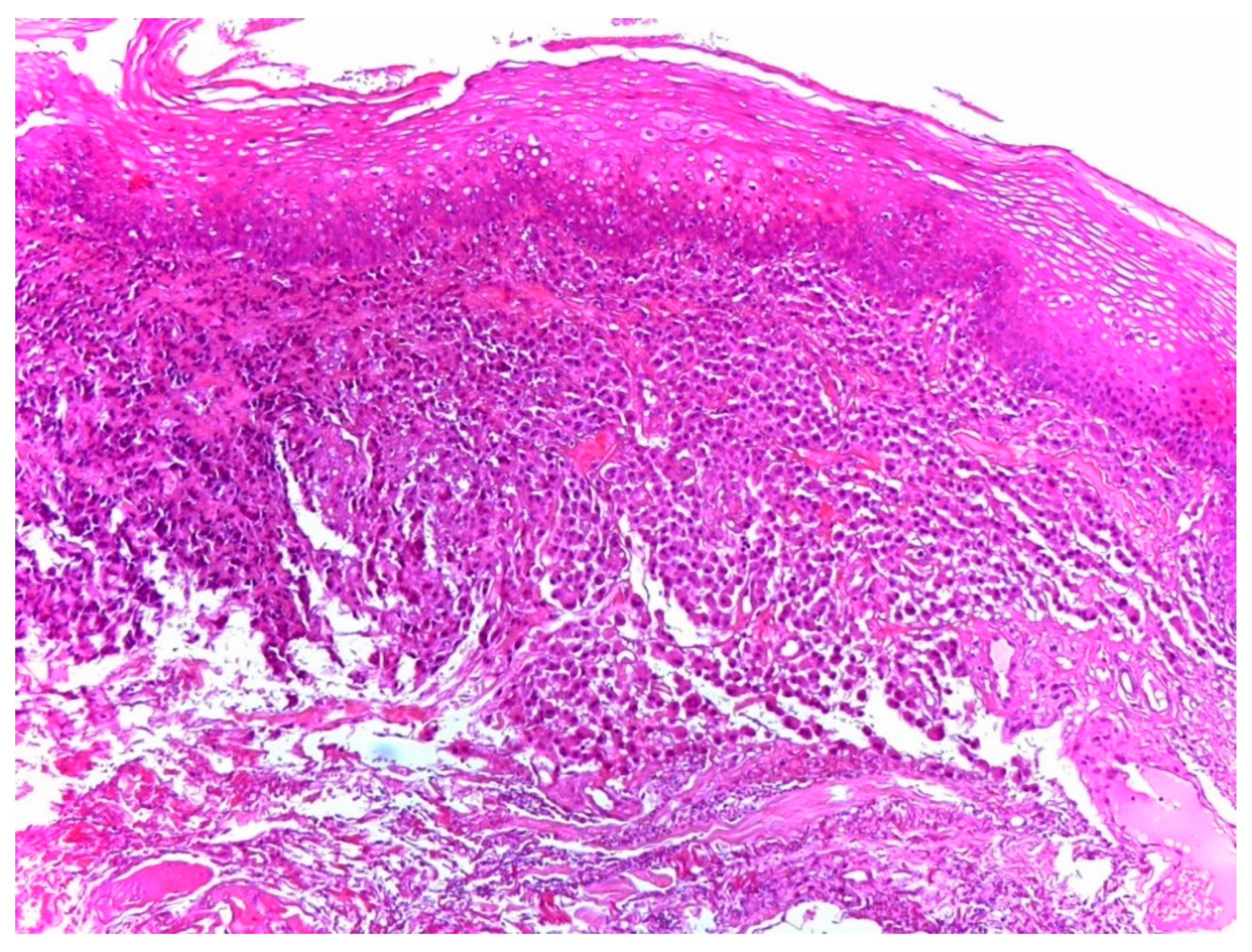 Ijerph 18 03762 g003 Ijerph 18 03762 g003