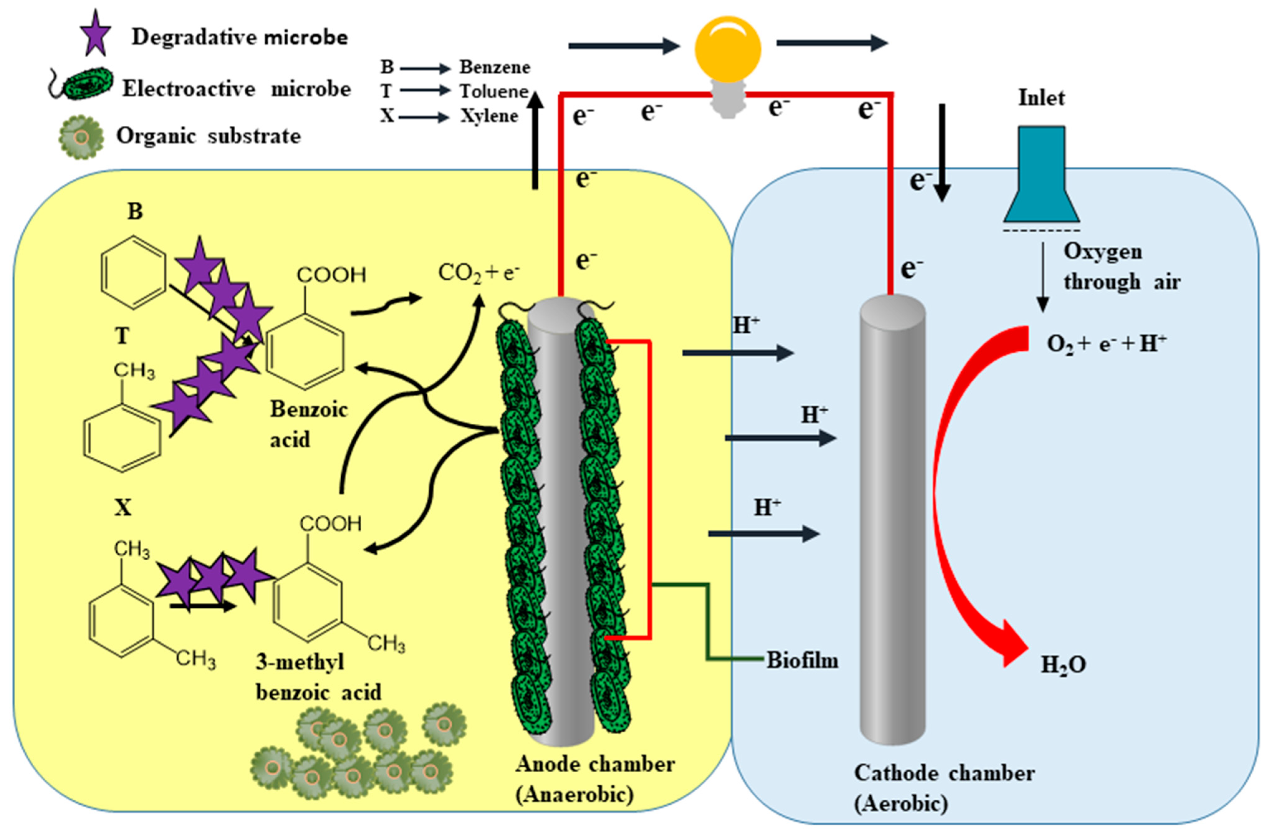Ijerph 18 03811 g003