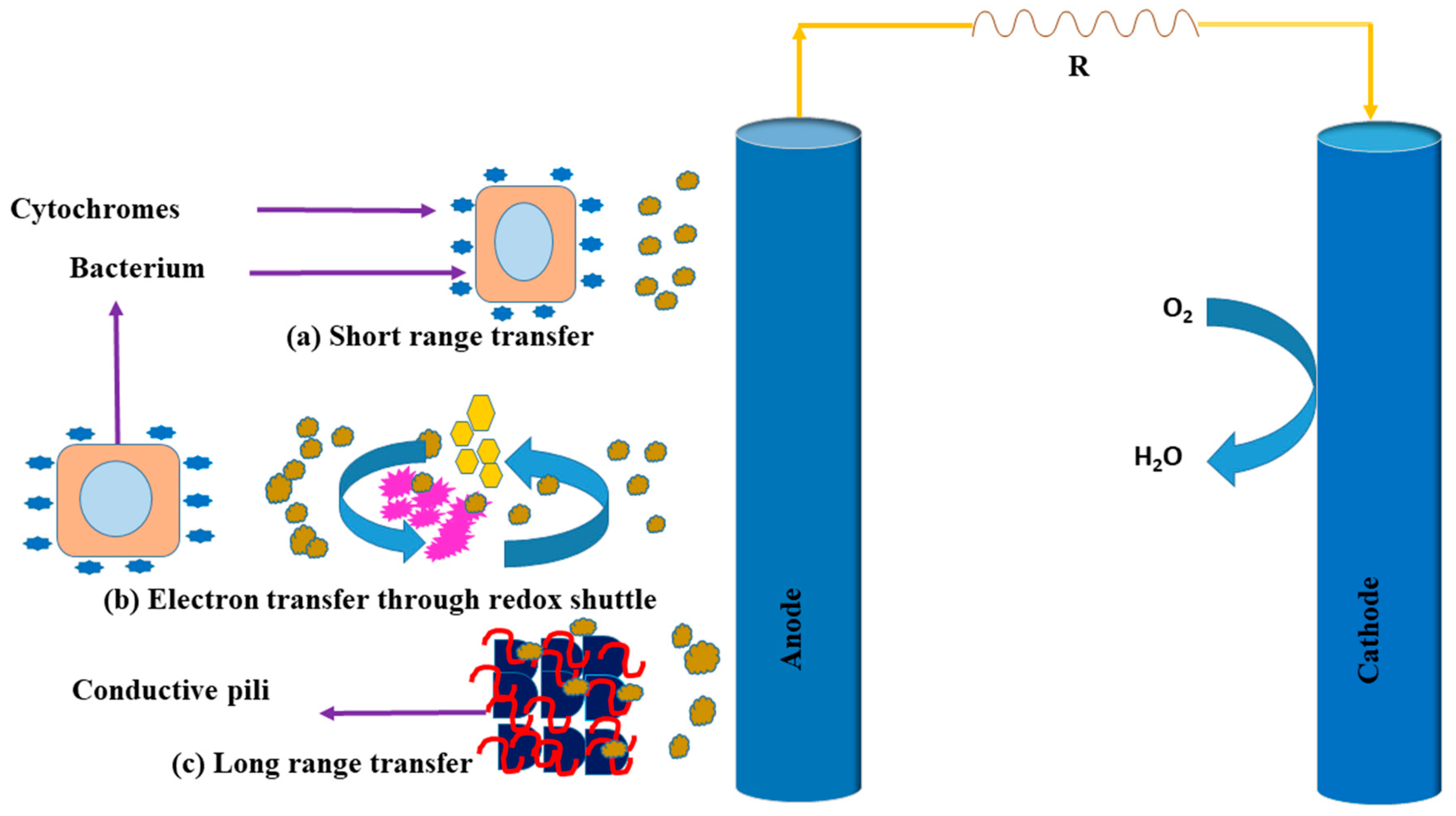 Ijerph 18 03811 g005