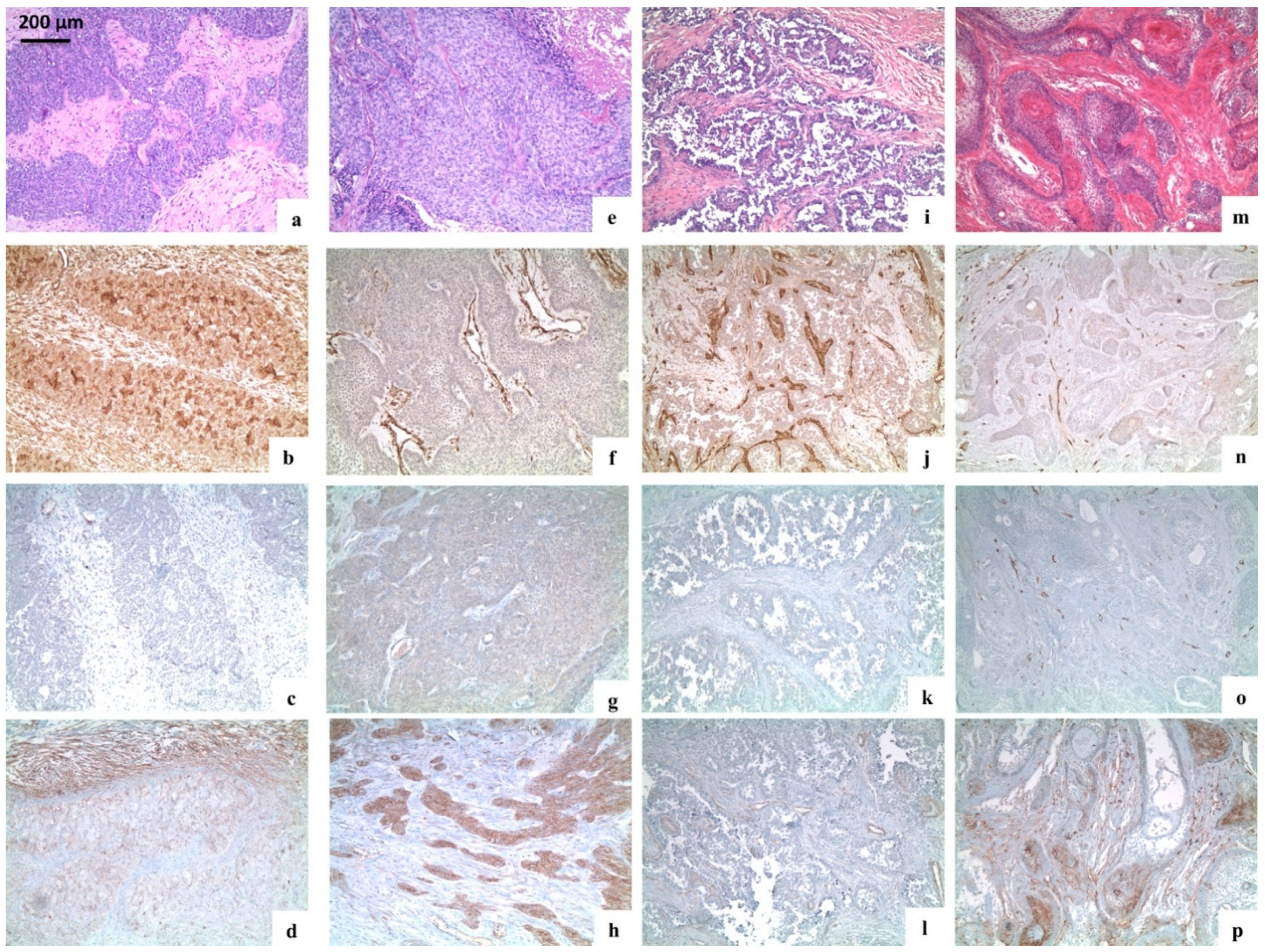 Ijerph 18 03899 g003