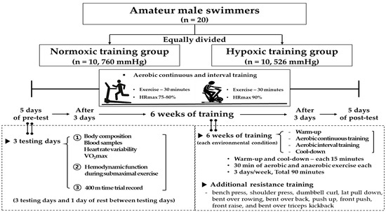 IJERPH Free Full-Text Aerobic Continuous and Interval Training under Hypoxia Enhances Endurance Exercise Performance with Hemodynamic and Autonomic Nervous System Function in Amateur Male Swimmers image