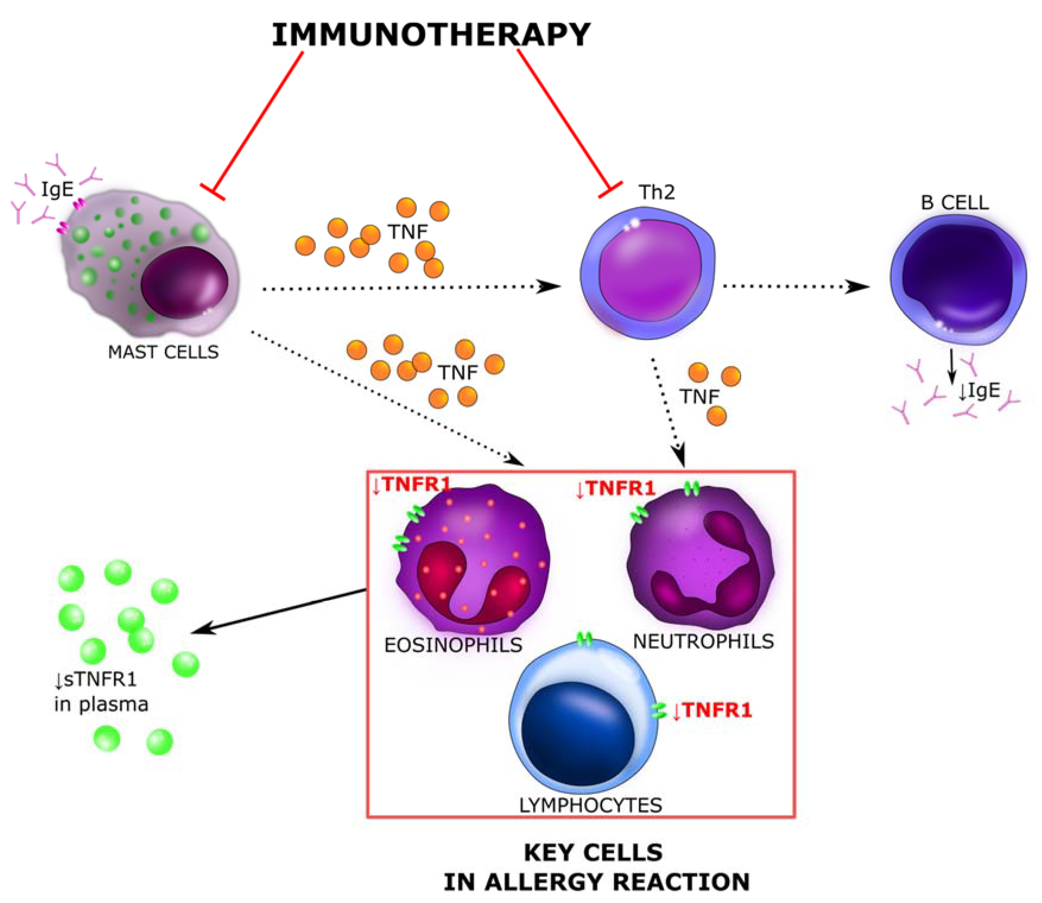 Ijerph 18 04011 g008