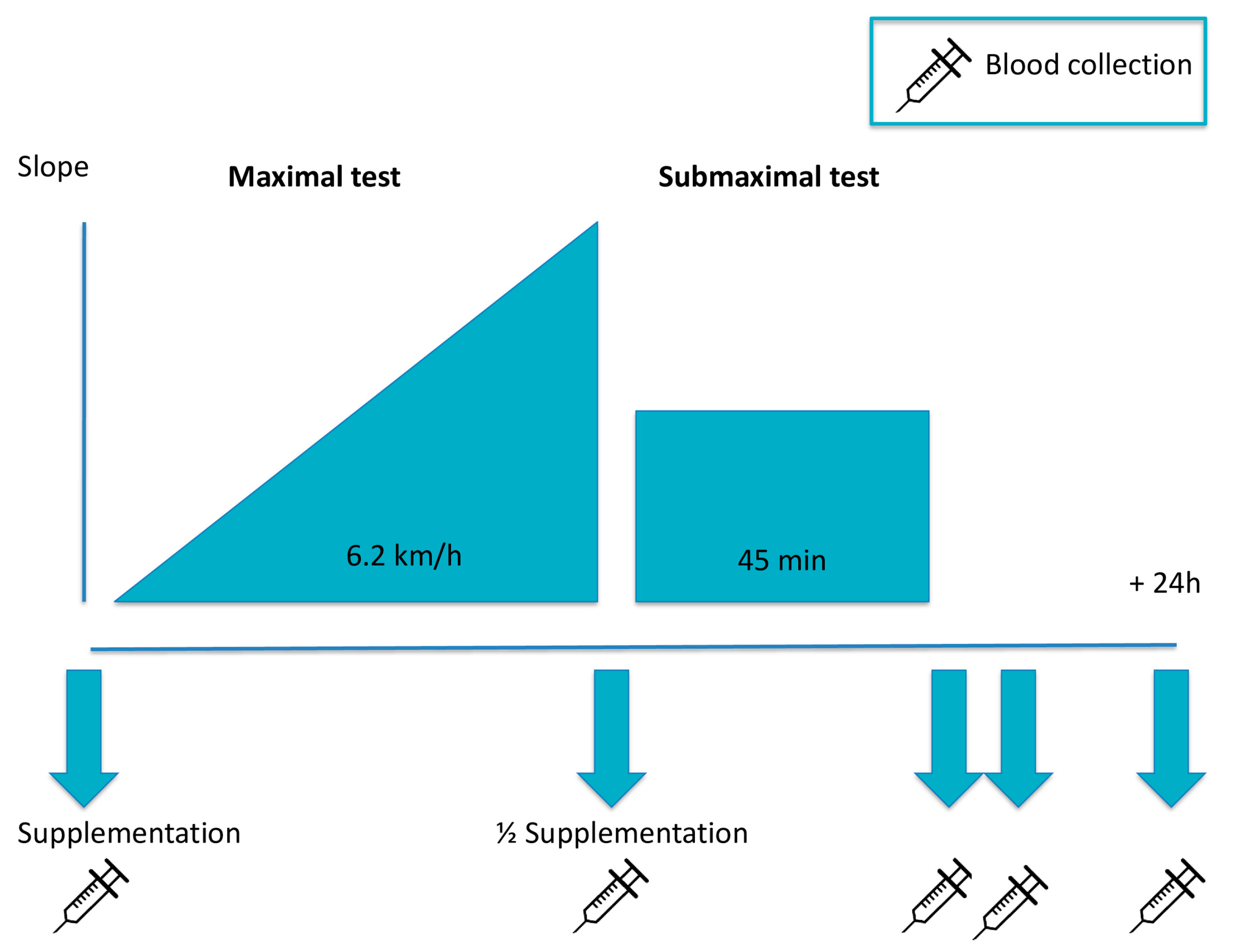 Ijerph 18 04128 g001 Ijerph 18 04128 g001