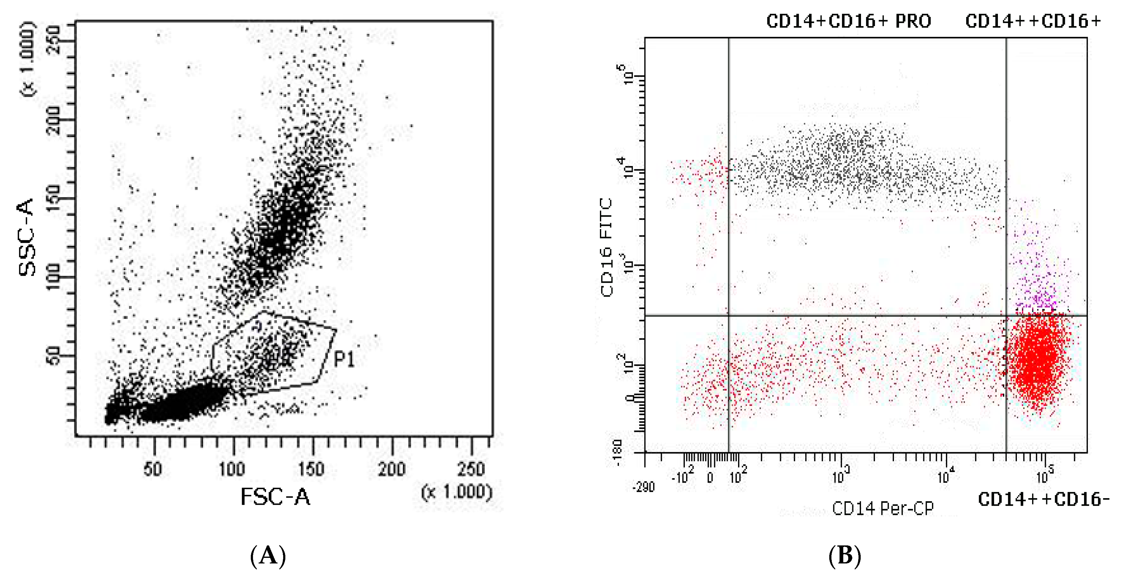 Ijerph 18 04128 g002 Ijerph 18 04128 g002