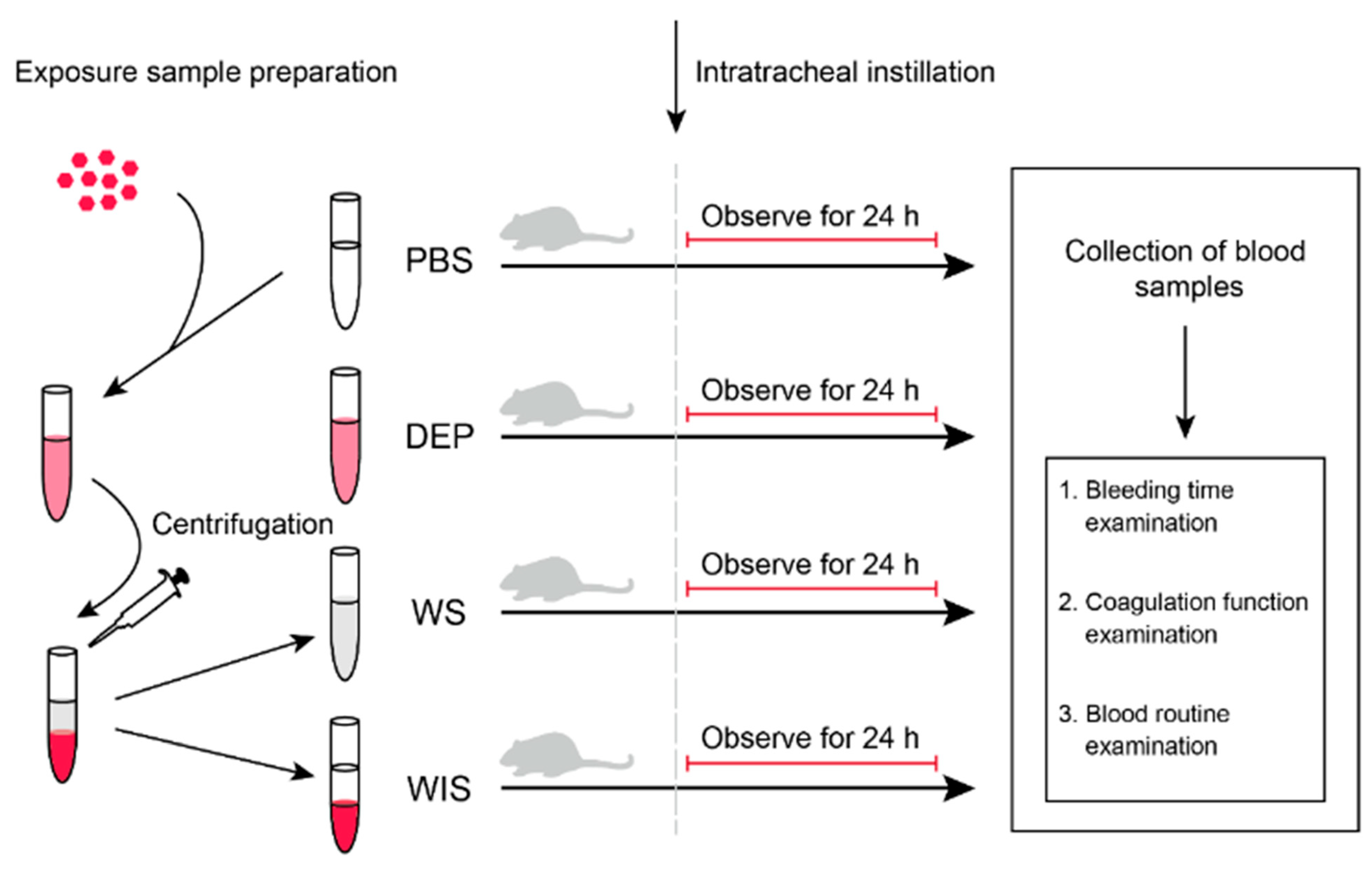 Ijerph 18 04136 g001