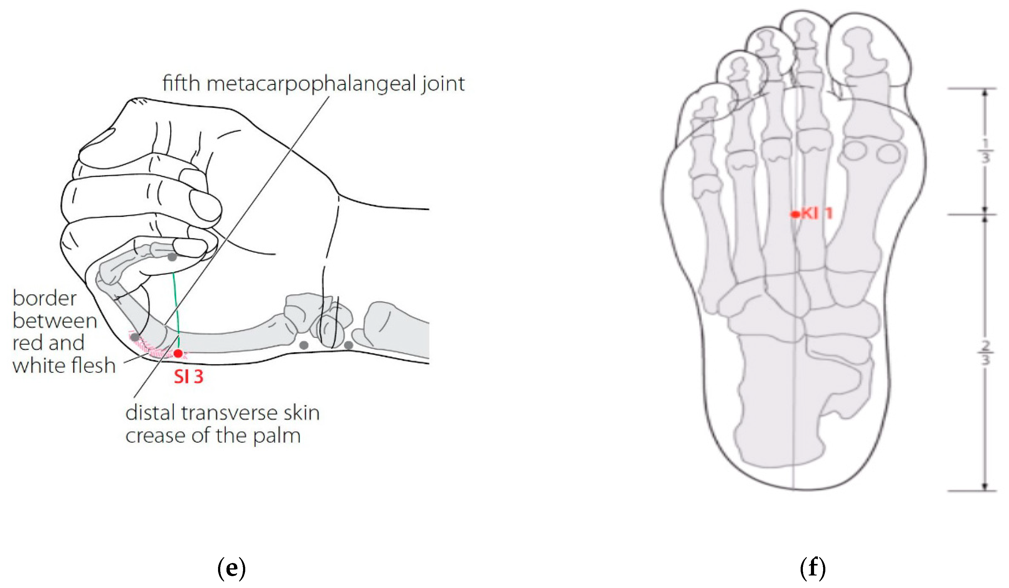 Ijerph 18 04199 g002b
