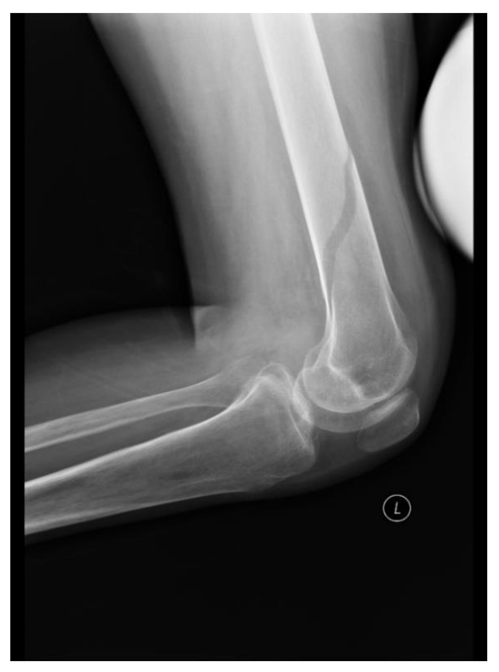 Ijerph 18 04219 g002 Ijerph 18 04219 g002