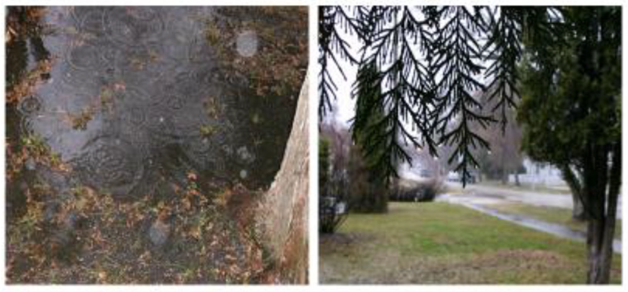 Ijerph 18 04315 g002 Ijerph 18 04315 g002