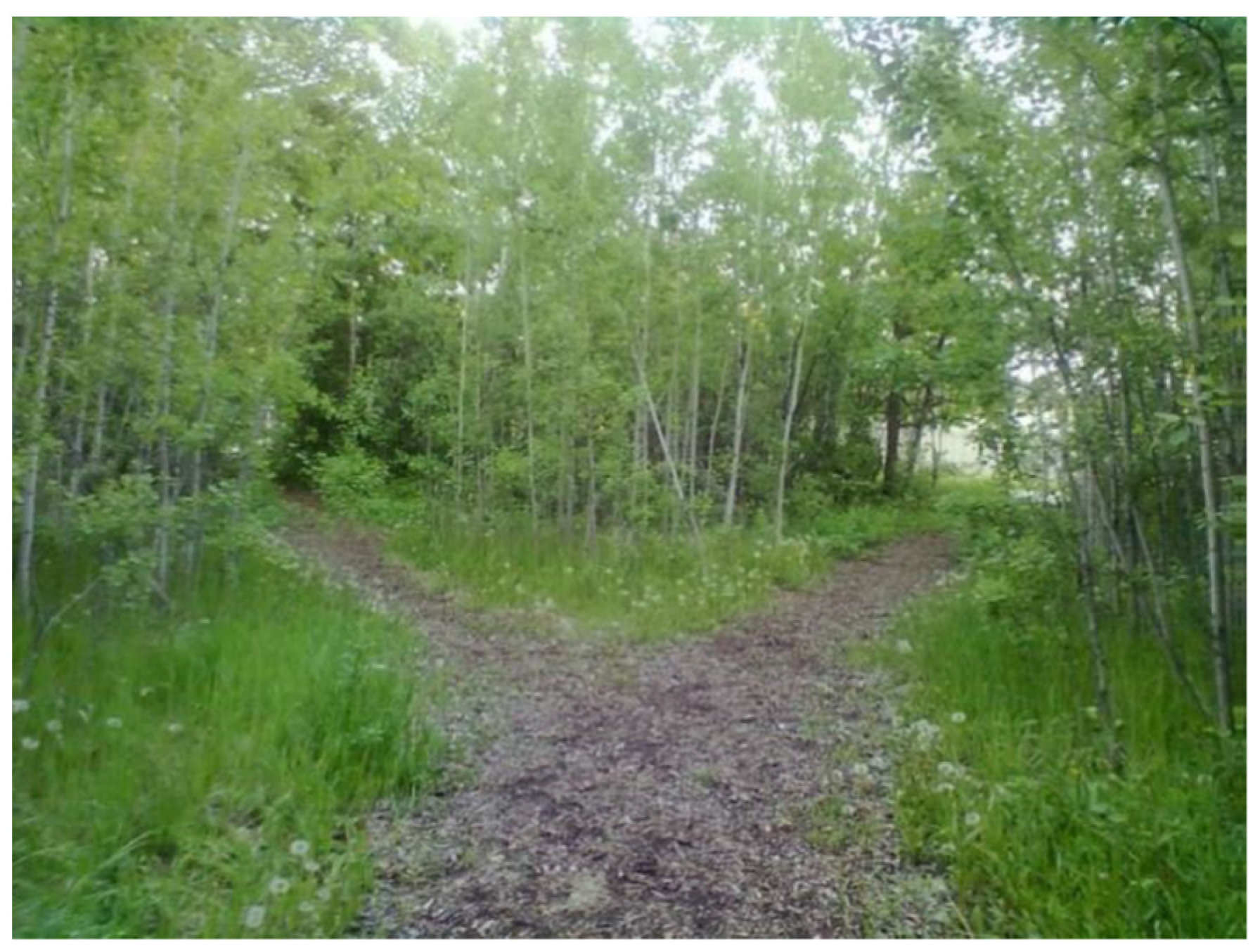 Ijerph 18 04315 g007 Ijerph 18 04315 g007