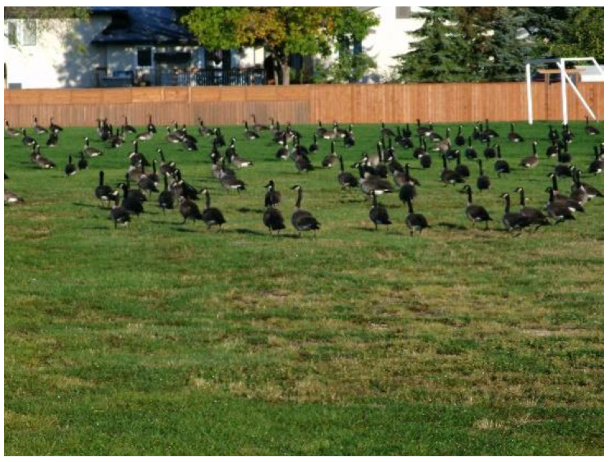 Ijerph 18 04315 g010 Ijerph 18 04315 g010