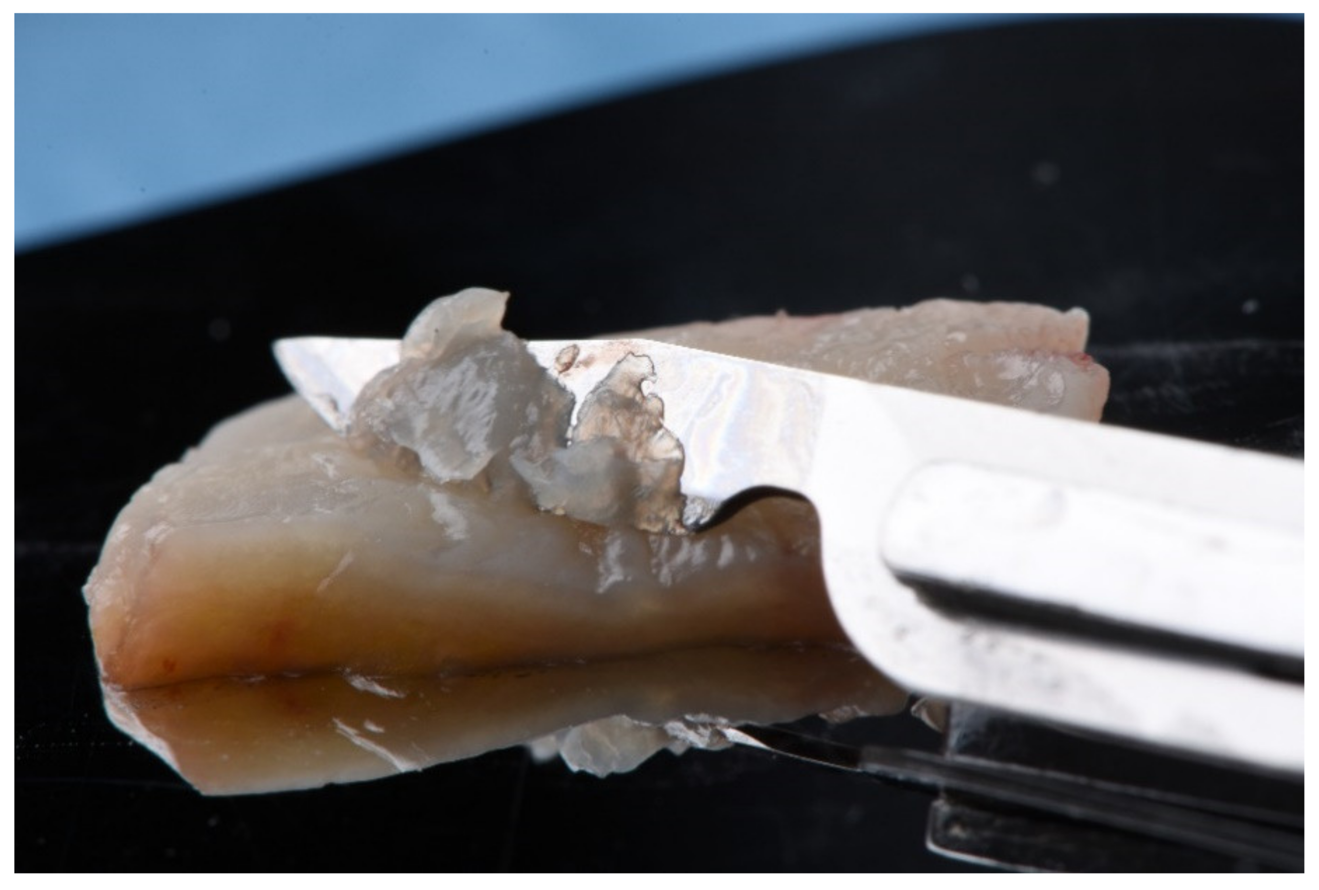 Ijerph 18 04504 g001