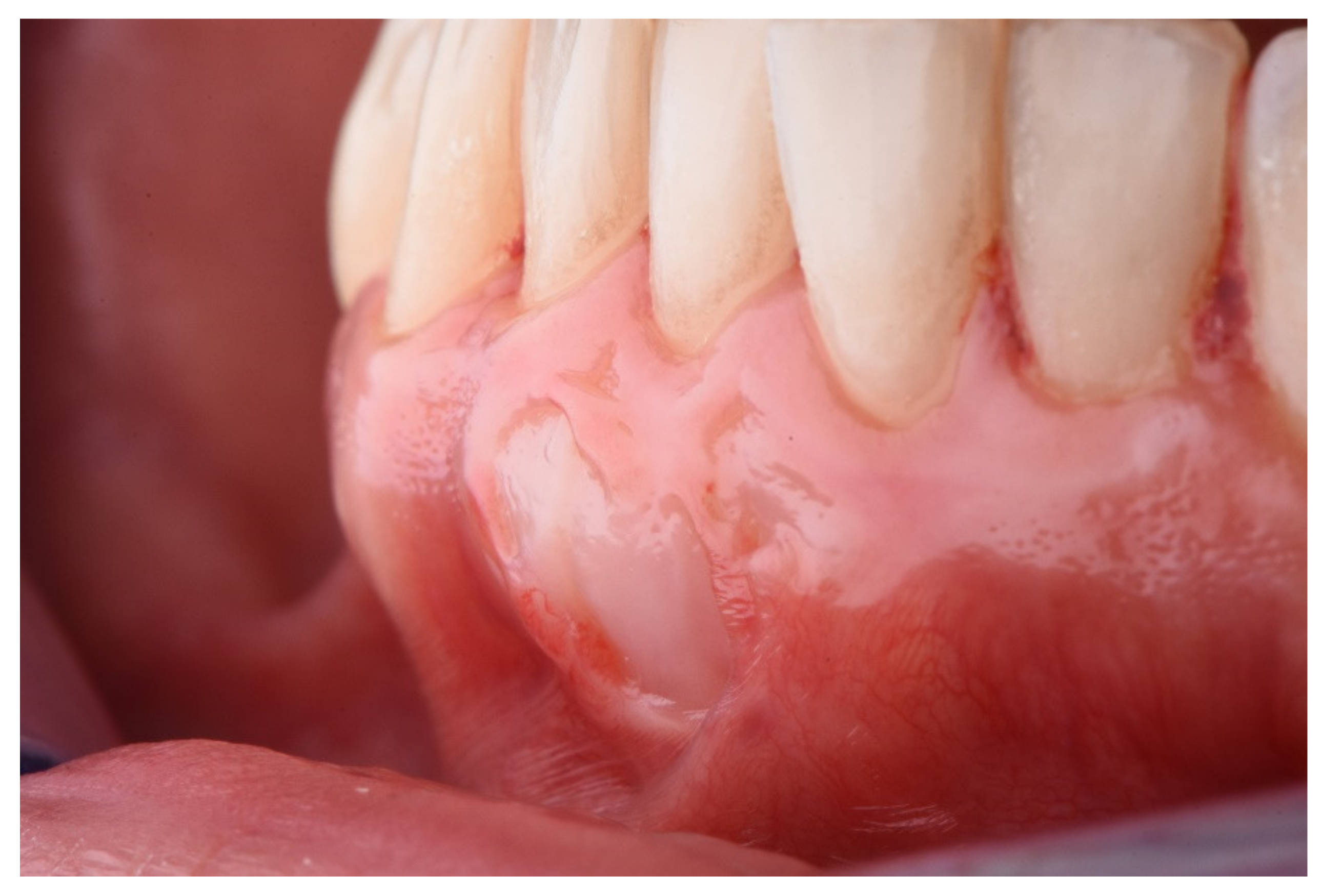 Ijerph 18 04504 g002