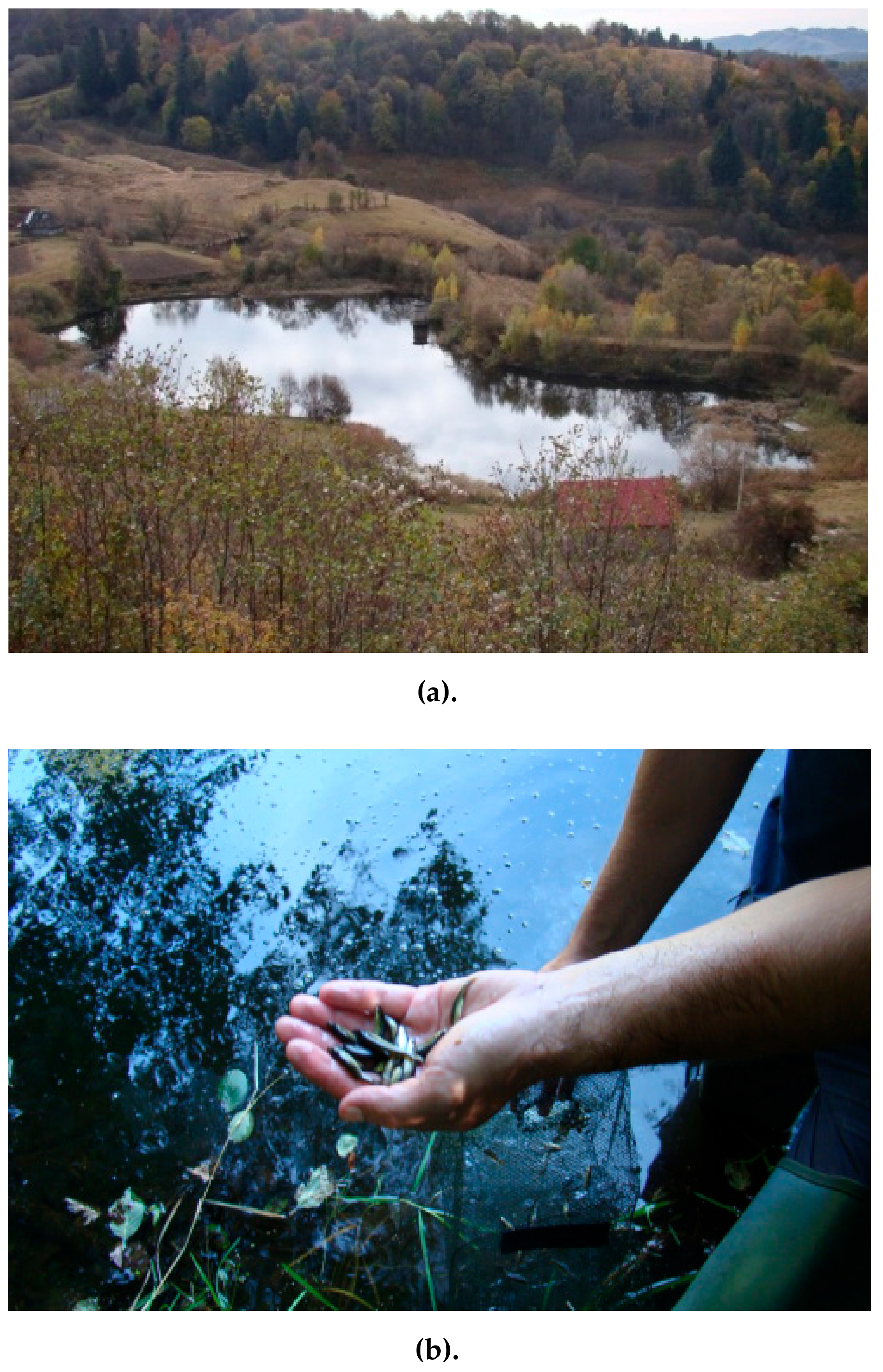 Ijerph 18 04565 g002a Ijerph 18 04565 g002a