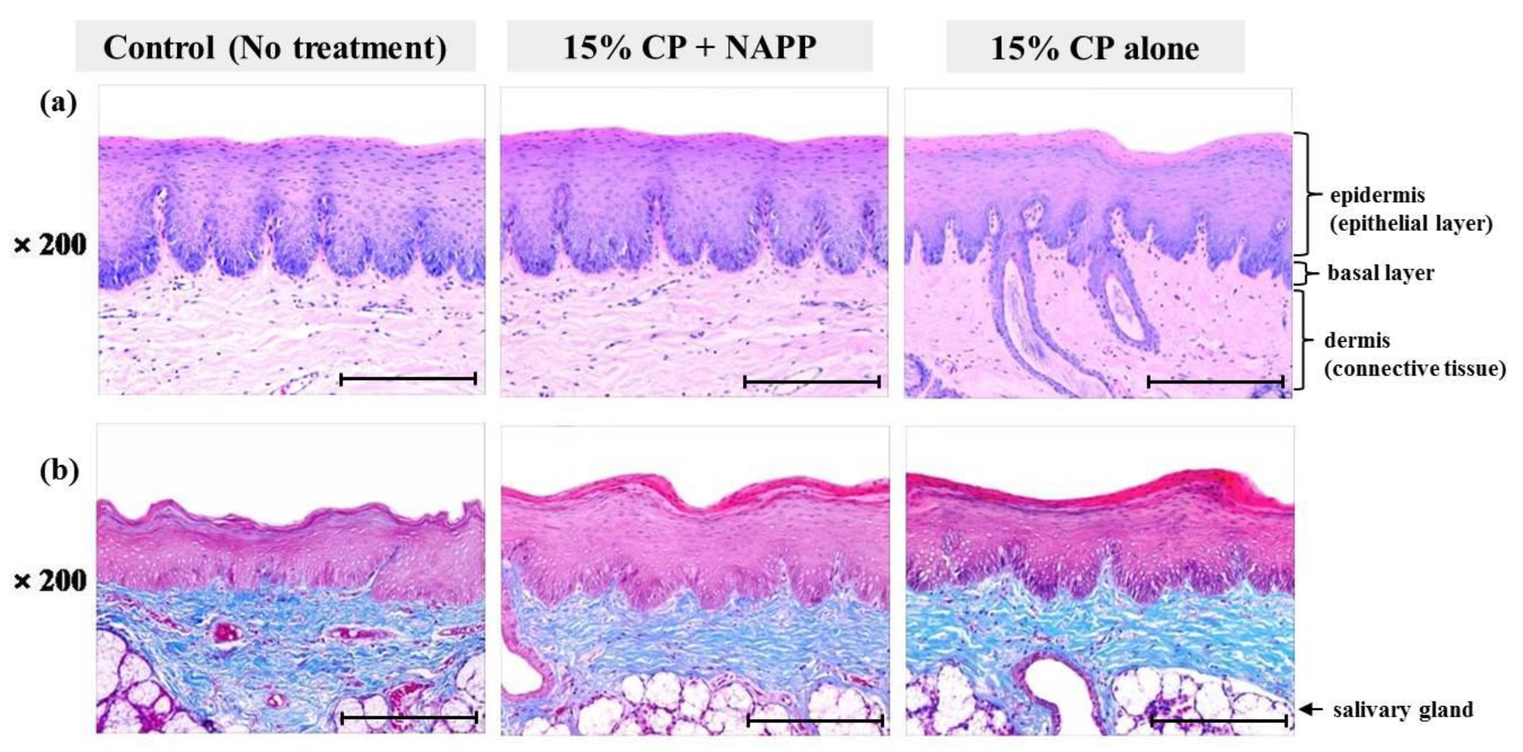Ijerph 18 04714 g009