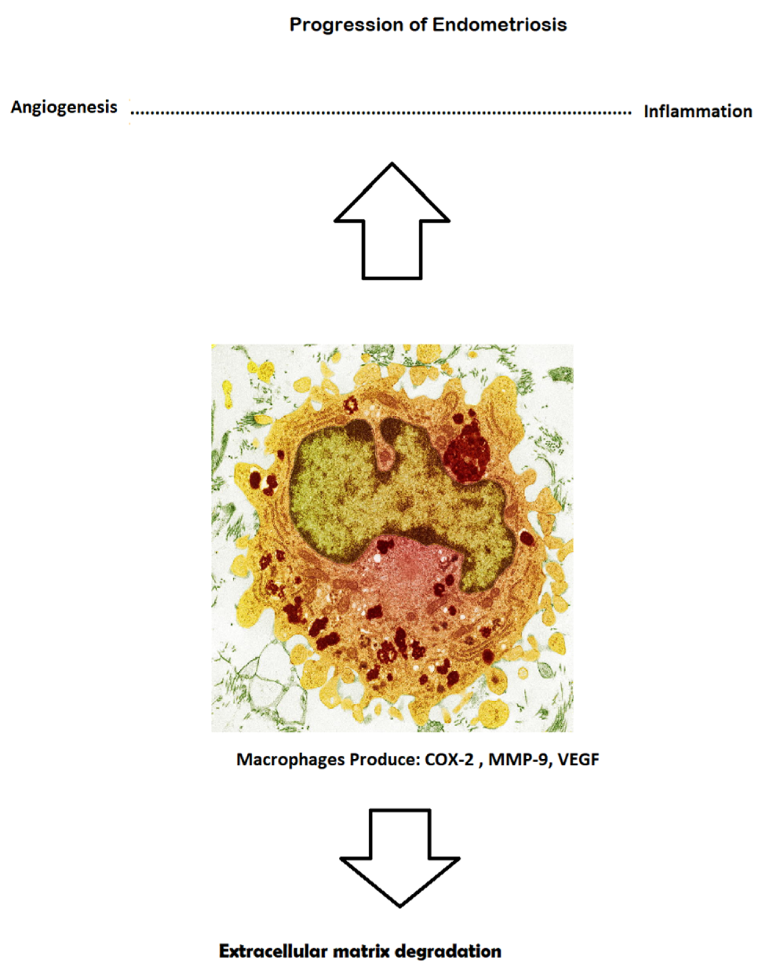 Ijerph 18 04726 g002