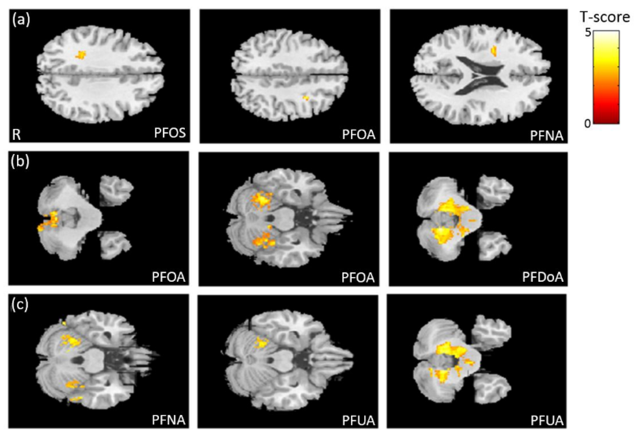 Ijerph 18 04798 g002