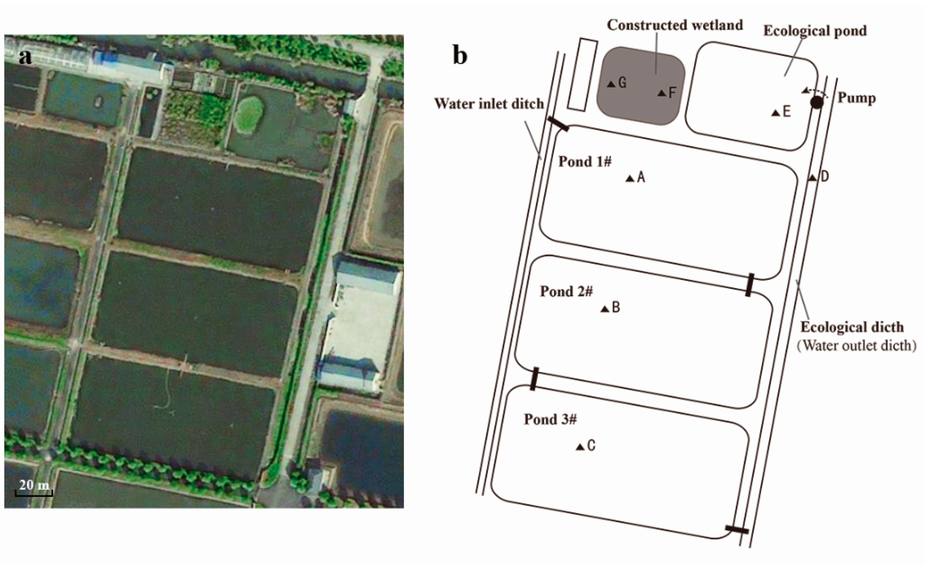 Ijerph 18 04941 g001 Ijerph 18 04941 g001