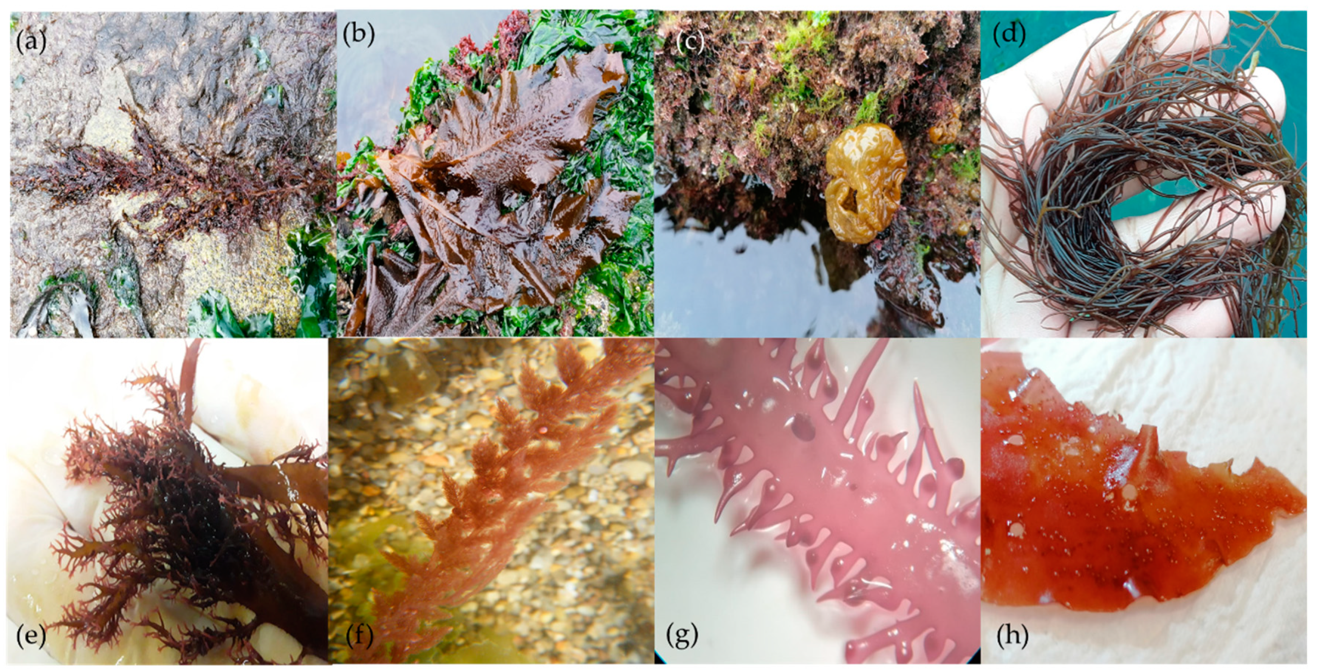 Ijerph 18 04968 g003 Ijerph 18 04968 g003