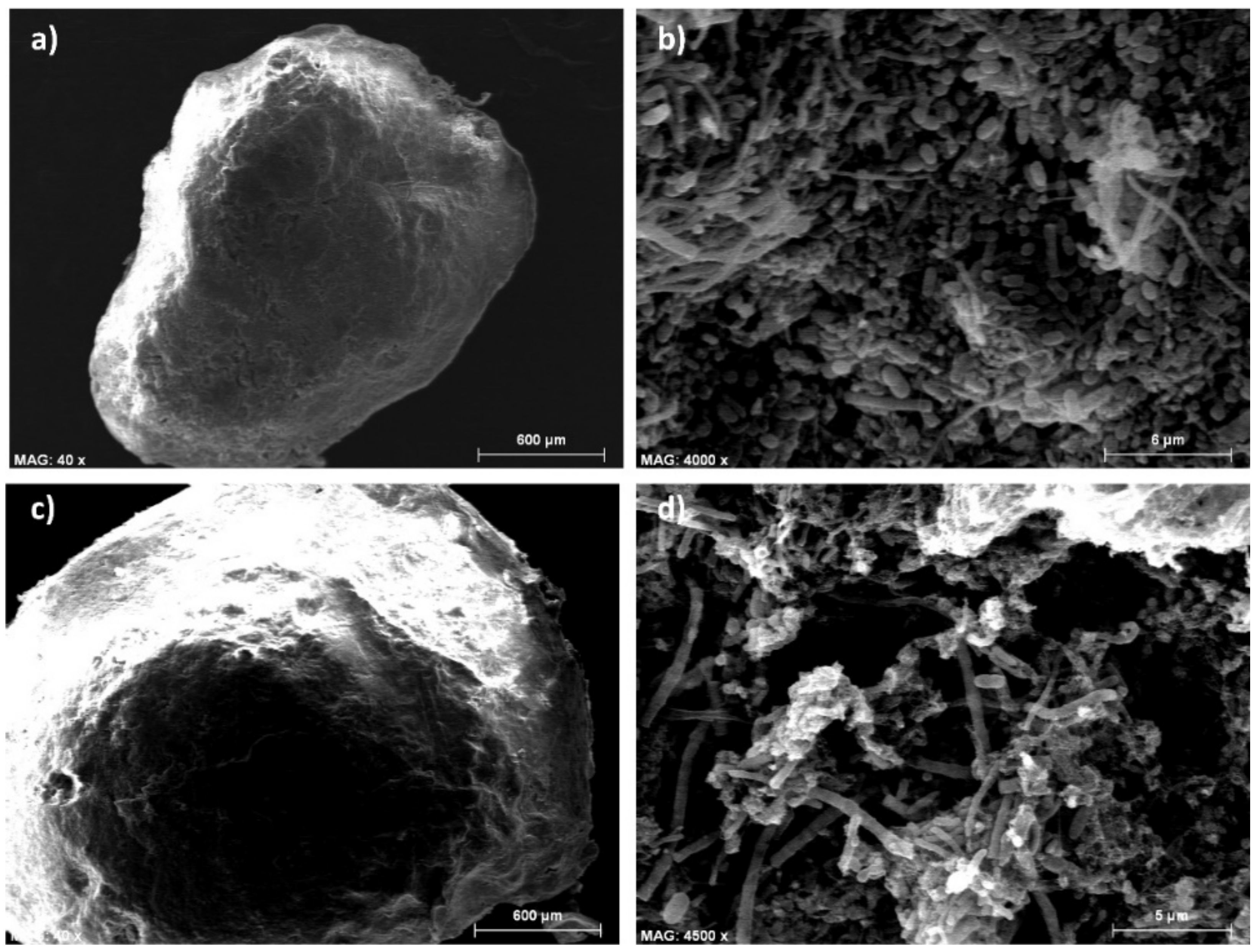 Ijerph 18 04986 g005