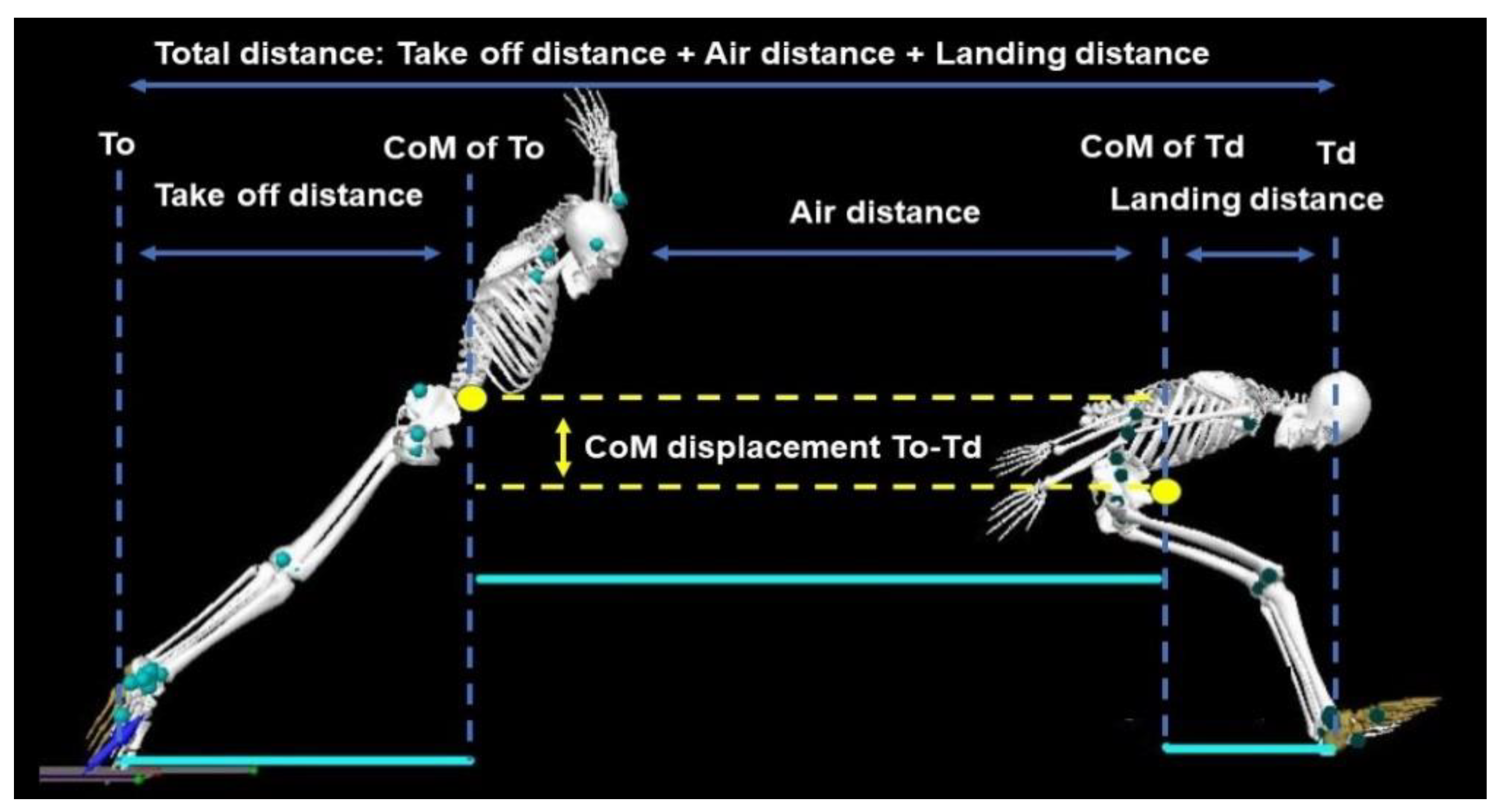 Long Jump Technique - Landing for Maximum Distance 