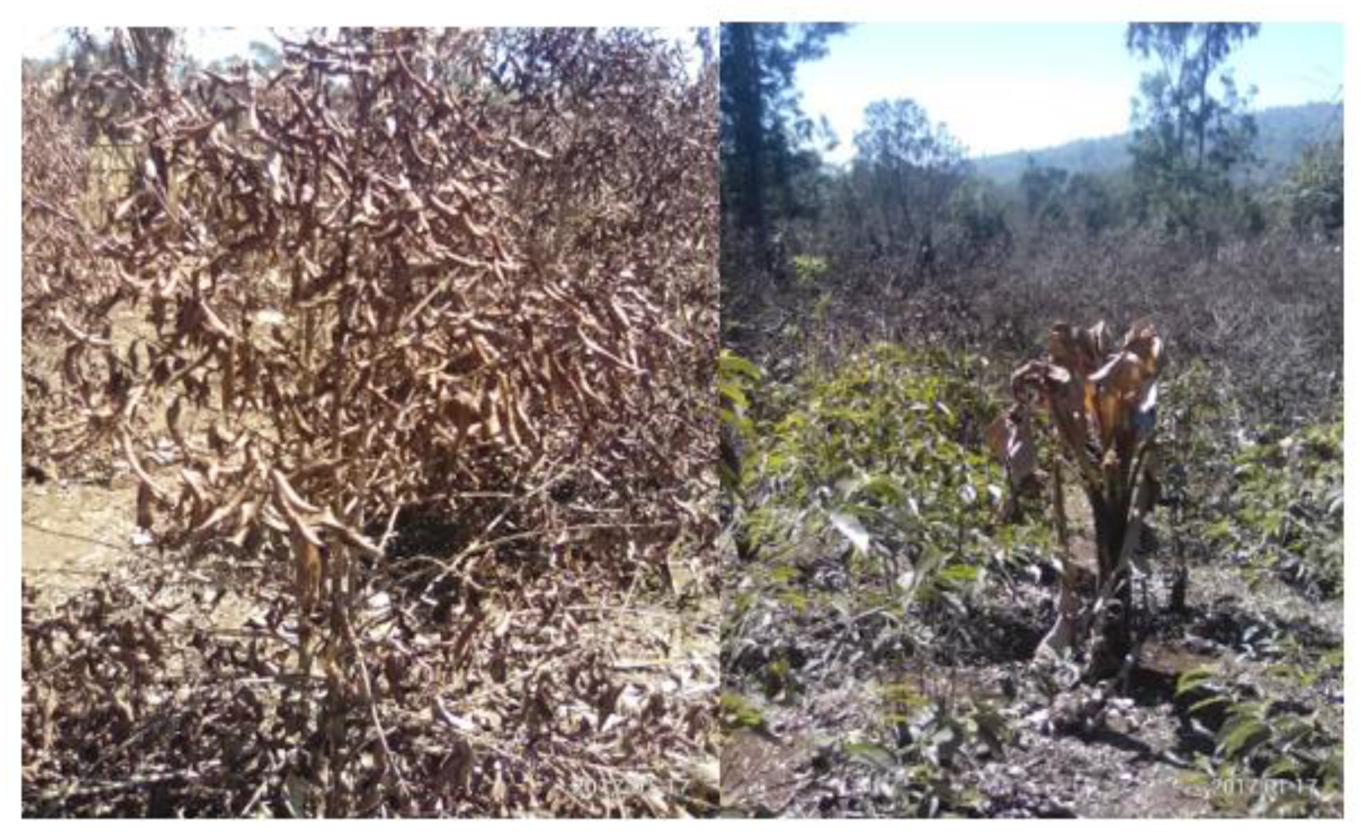 Ijerph 18 05181 g009