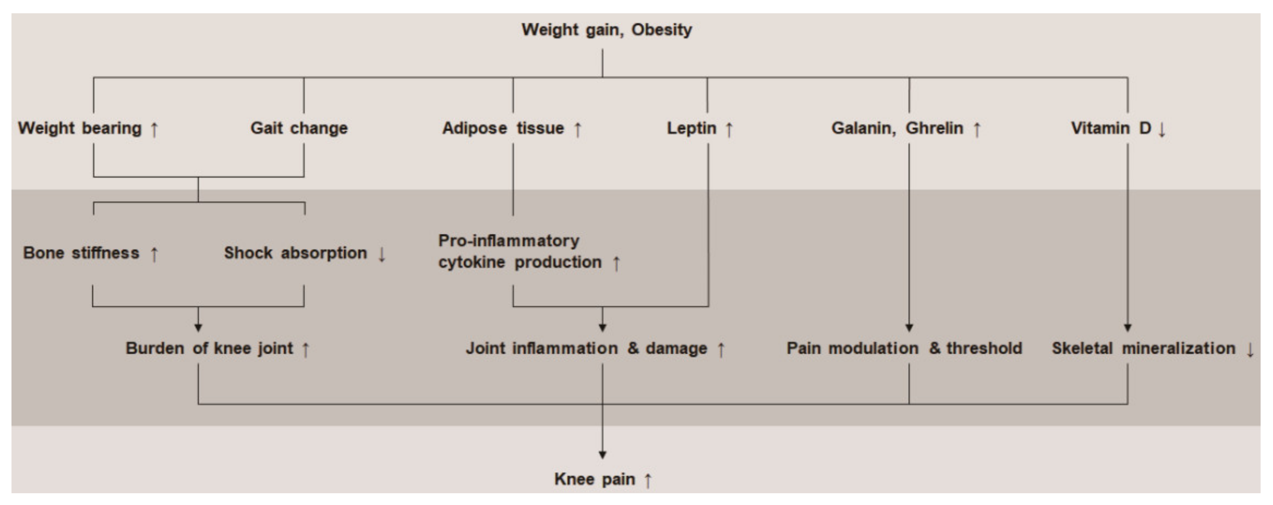 Ijerph 18 05185 g003 Ijerph 18 05185 g003