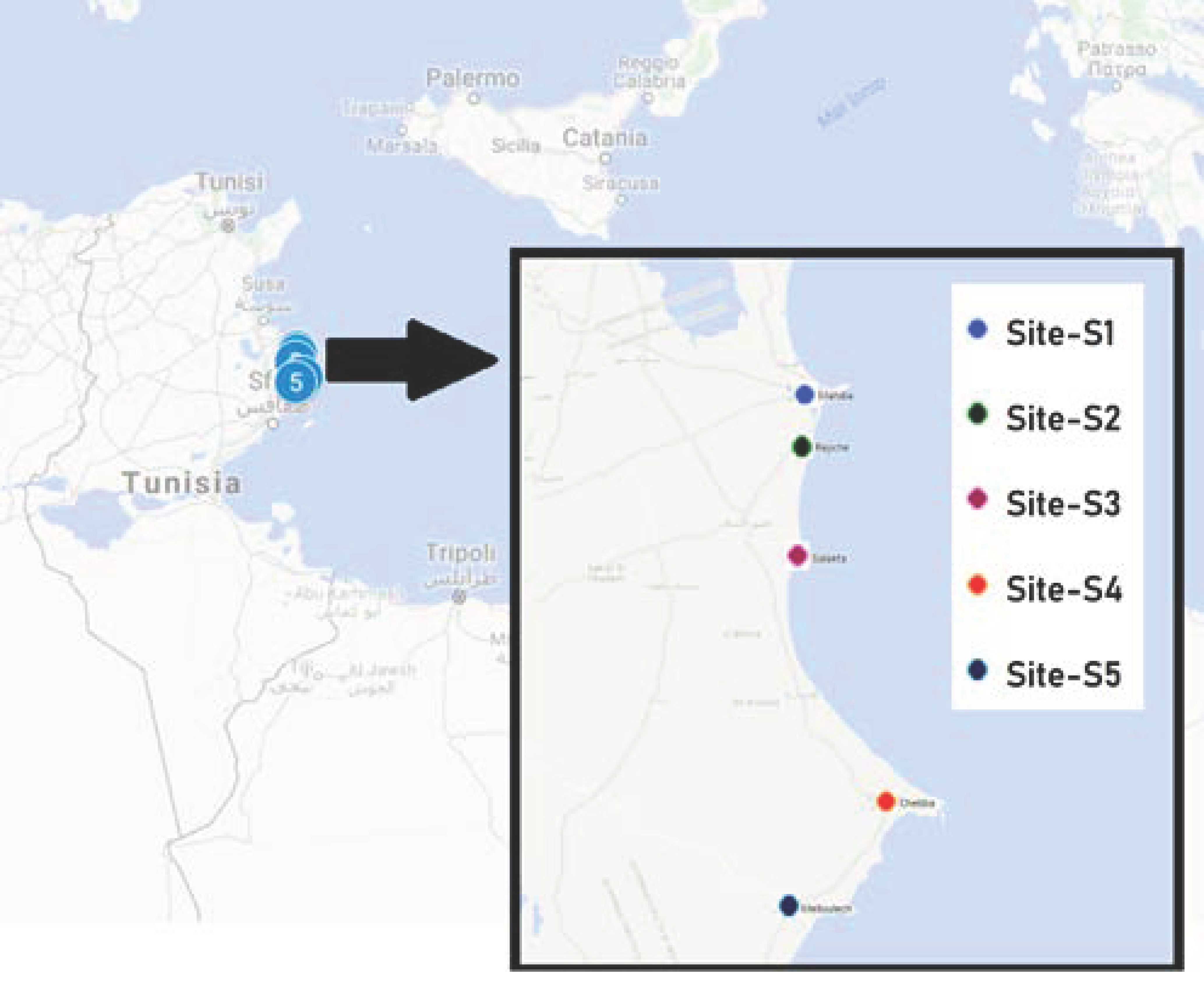 Ijerph 18 05202 g001