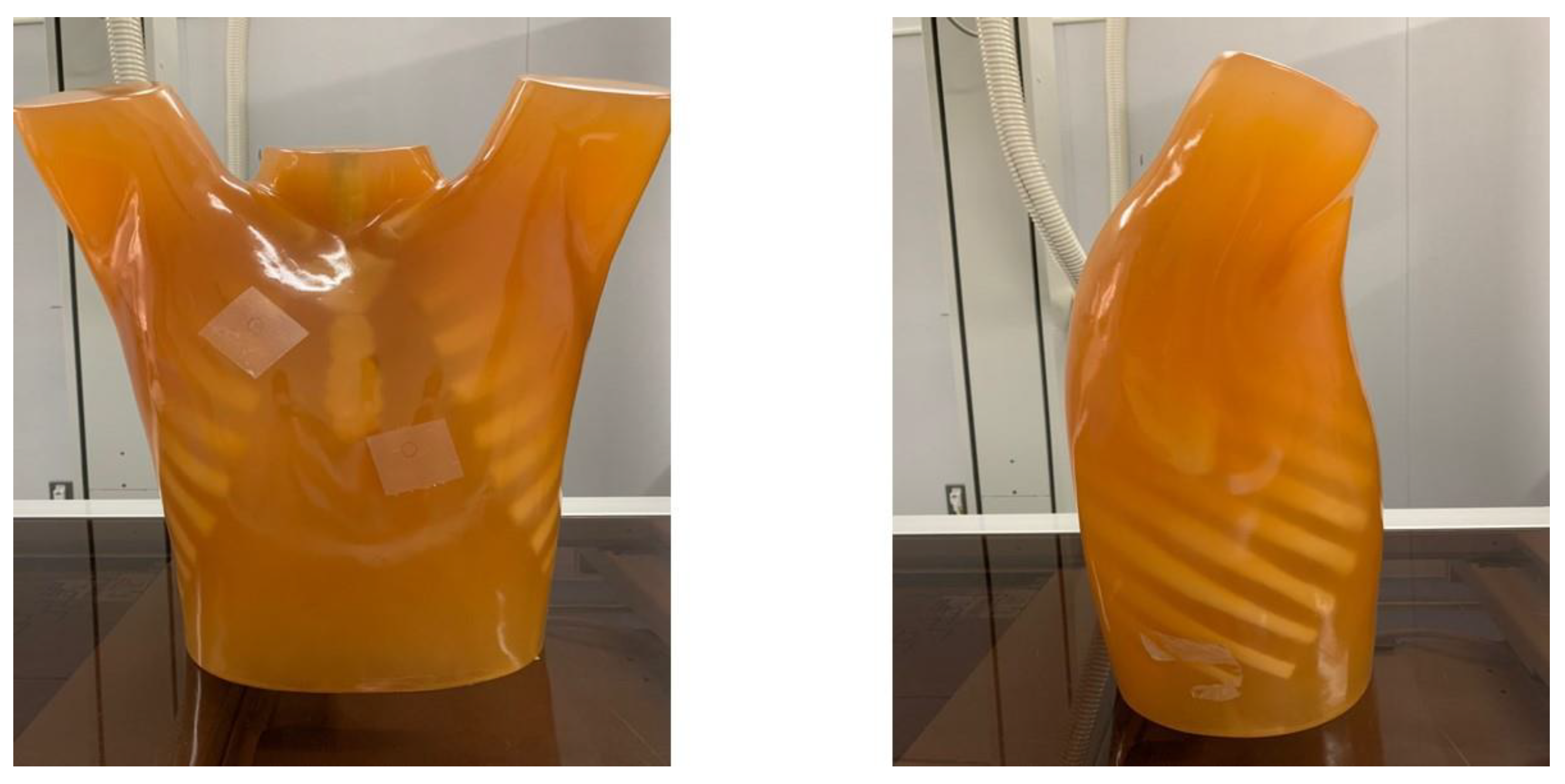 Ijerph 18 05203 g002 Ijerph 18 05203 g002