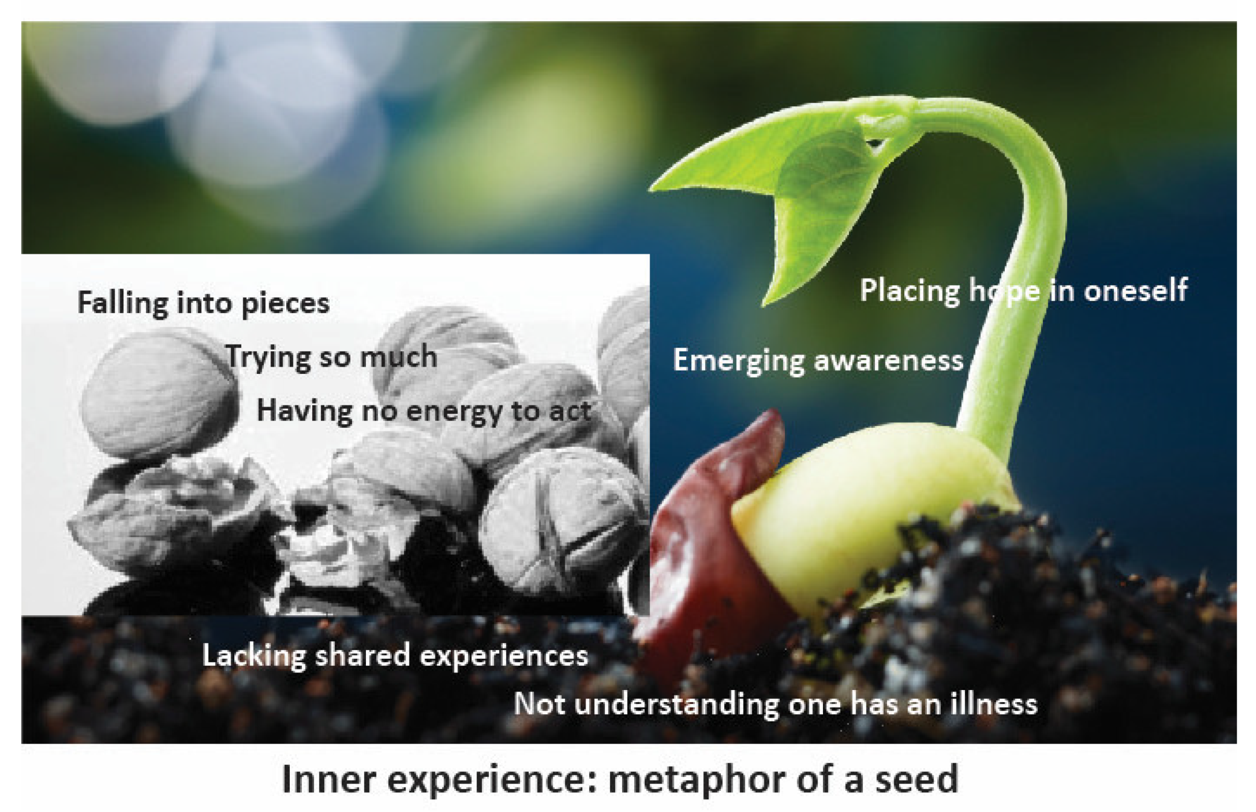 Ijerph 18 05226 g002 Ijerph 18 05226 g002