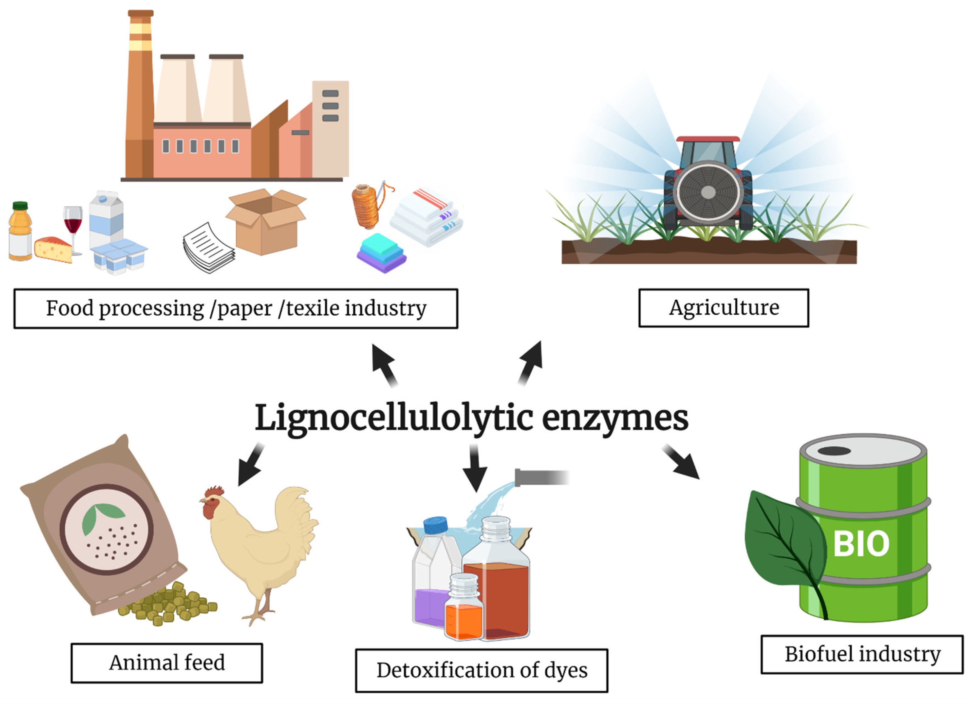 Ijerph 18 05228 g004 Ijerph 18 05228 g004