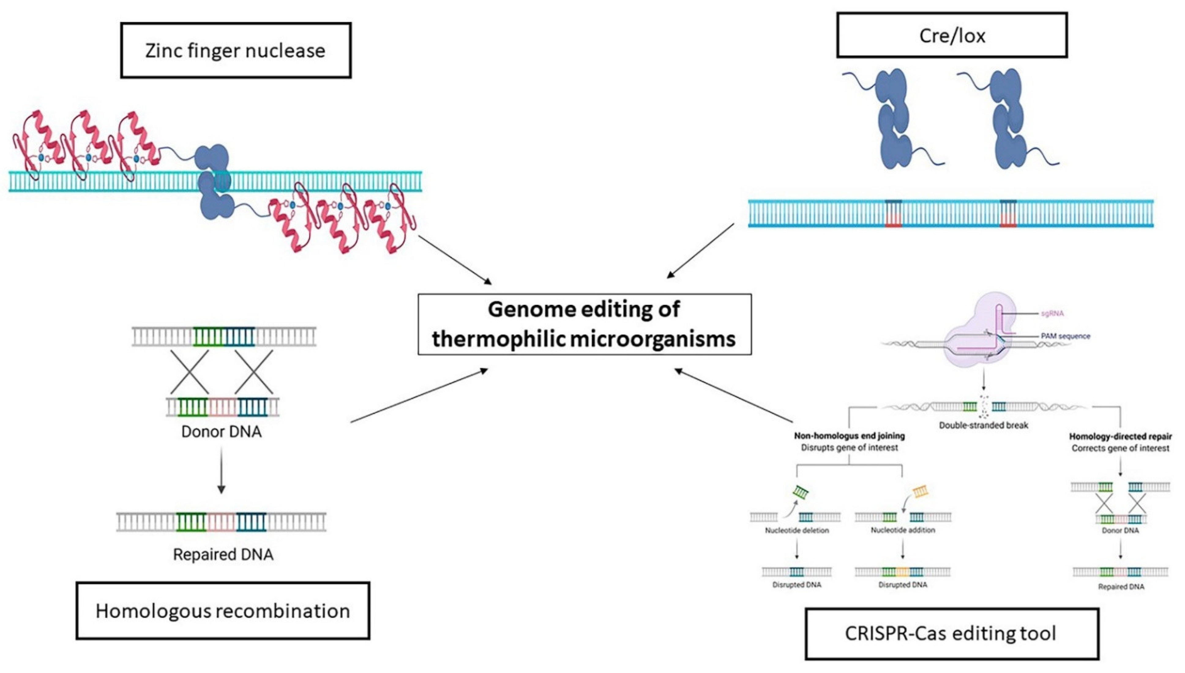 Ijerph 18 05228 g005 Ijerph 18 05228 g005