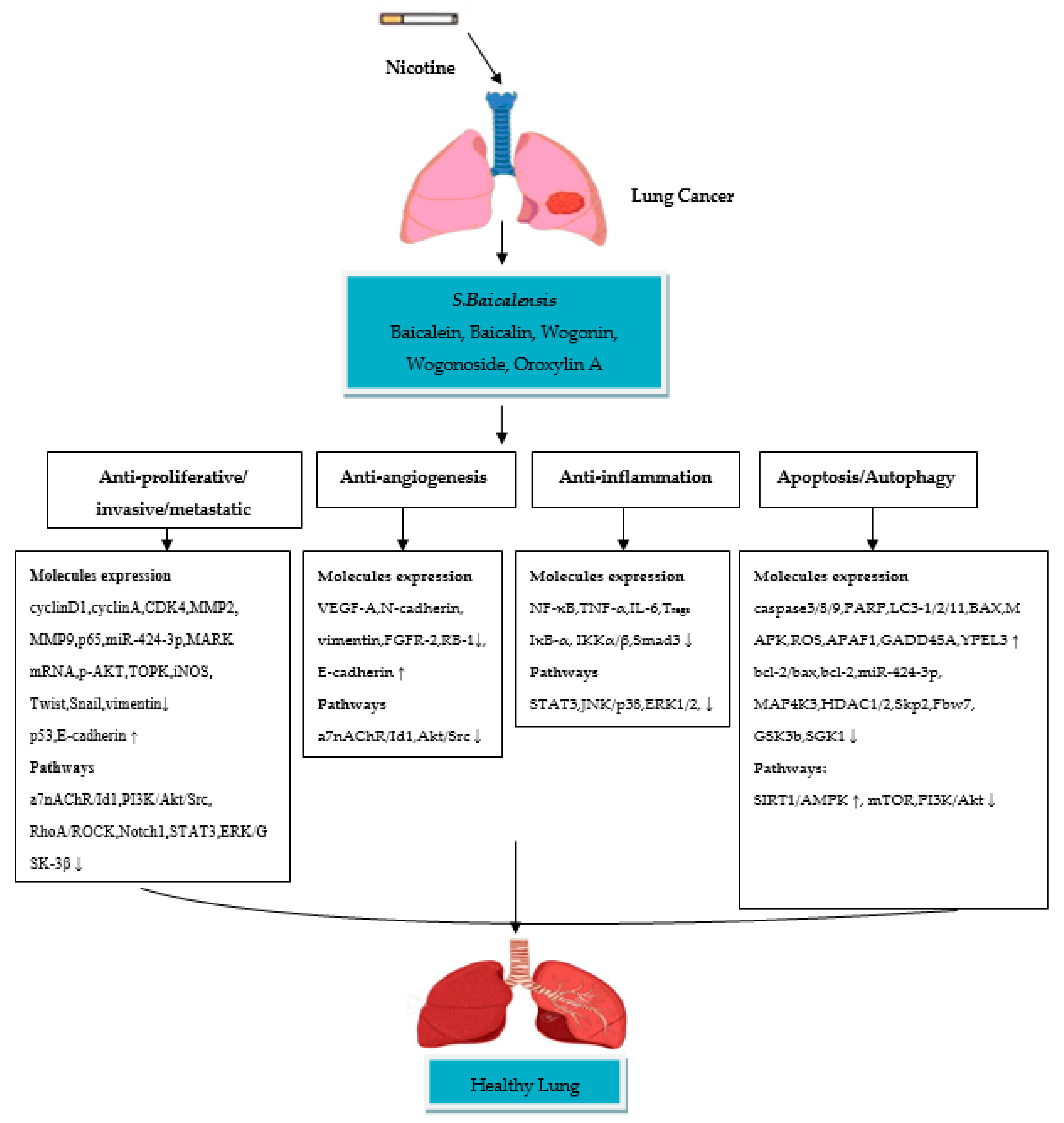 Ijerph 18 05243 g001