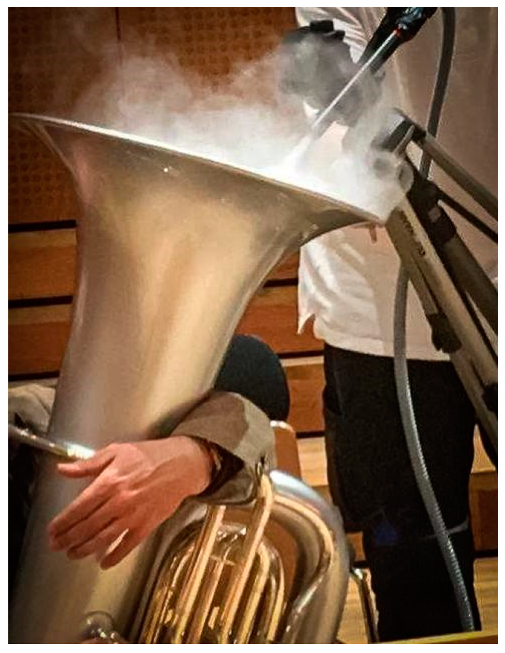 Ijerph 18 05413 g0a8