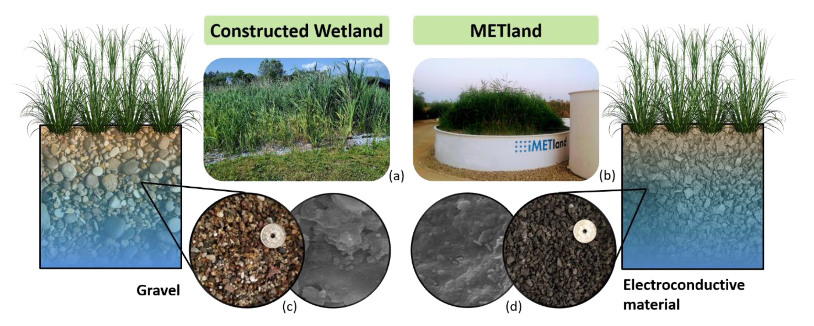 Ijerph 18 05415 g001 Ijerph 18 05415 g001