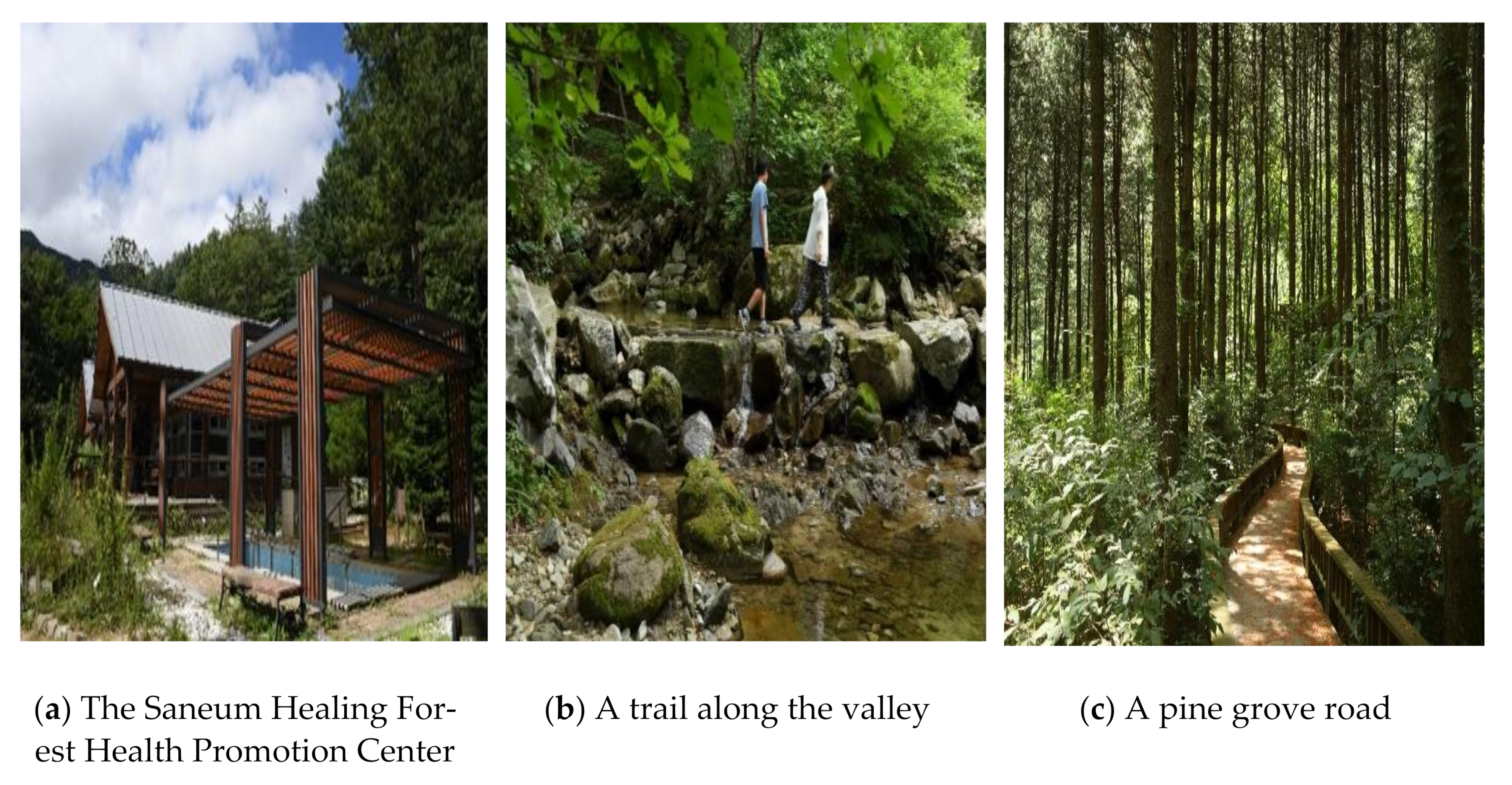 Ijerph 18 05467 g001