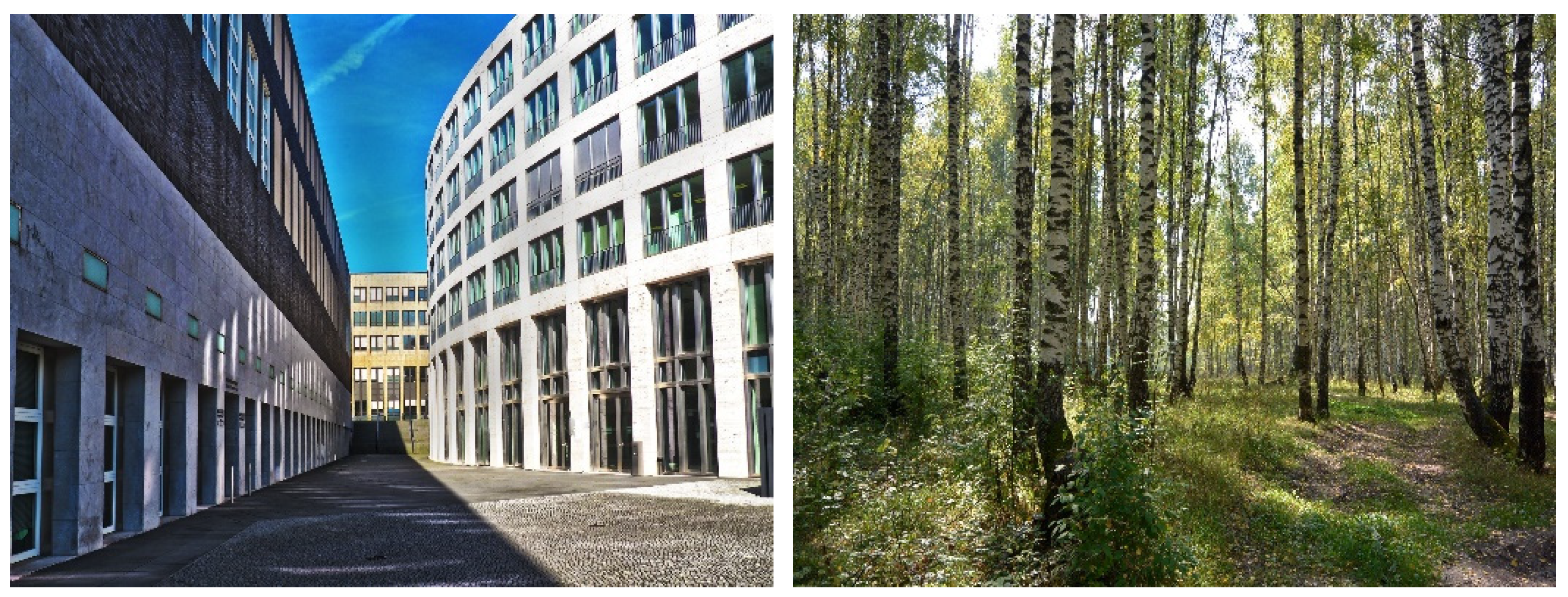 Ijerph 18 05500 g002 Ijerph 18 05500 g002