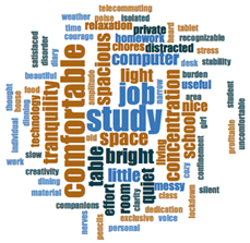 Ijerph 18 05506 i001